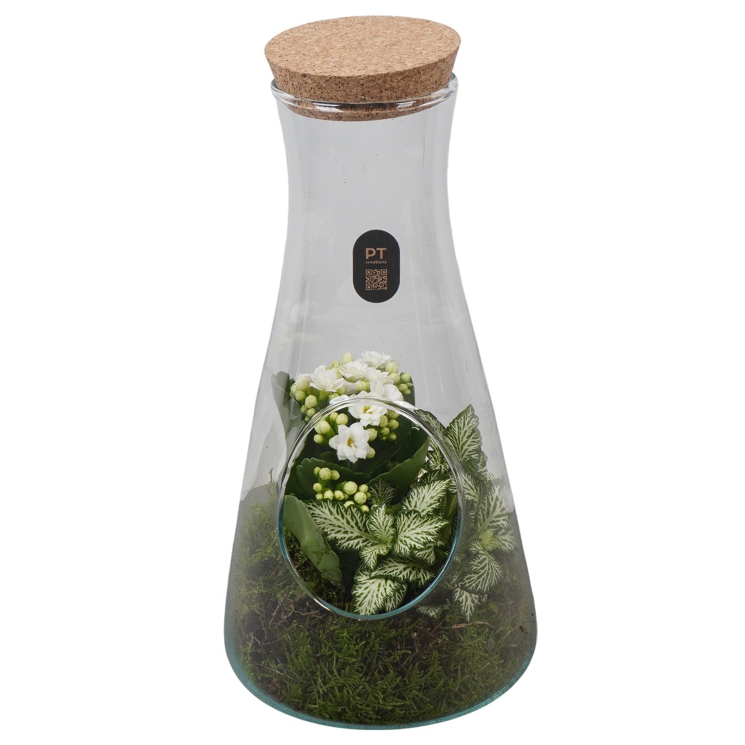 PTIG2691 Arrangement Indoor in glas fles, D 13