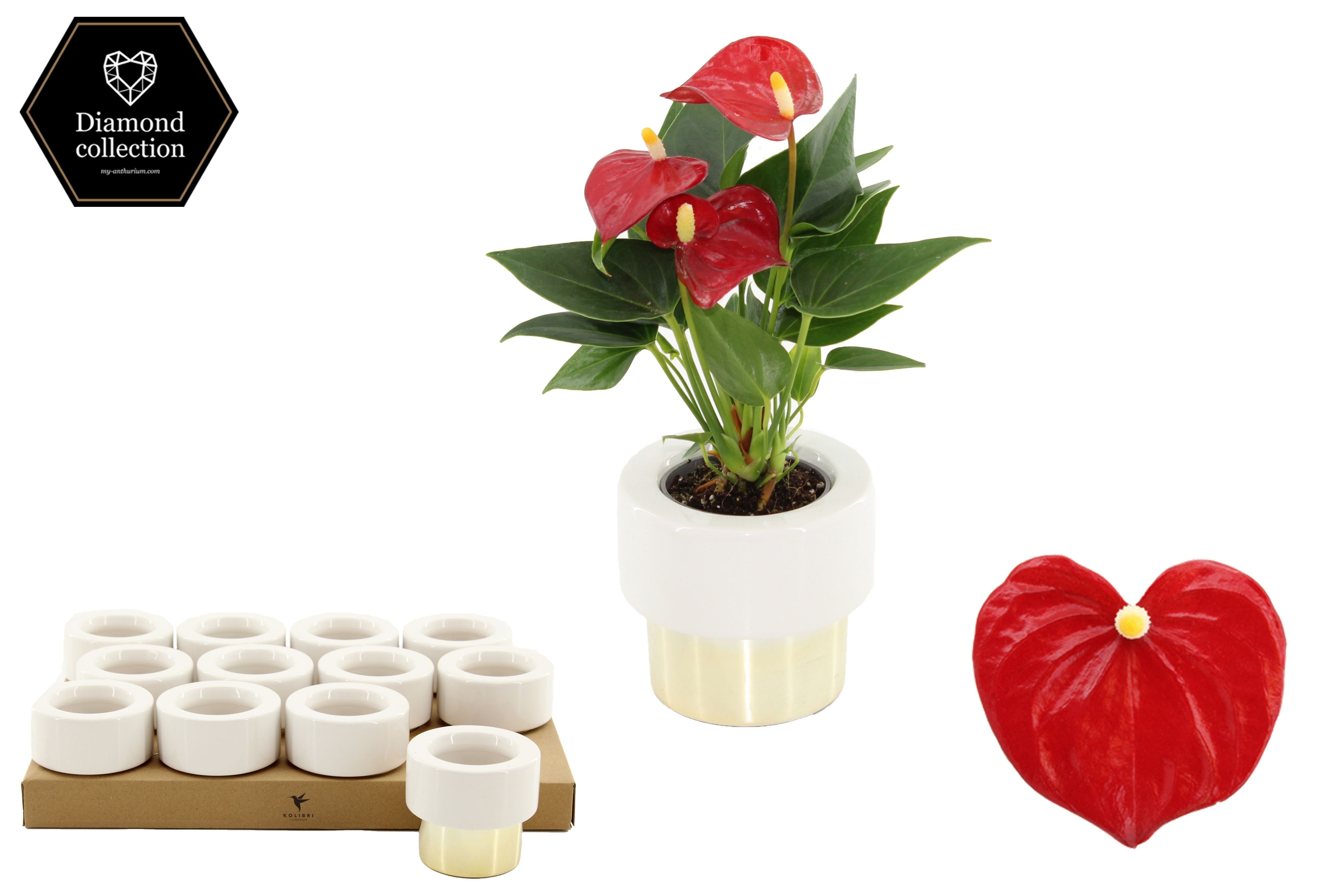 Anthurium 6 cm Micra in Lush Gold ceramics, D 6 cm