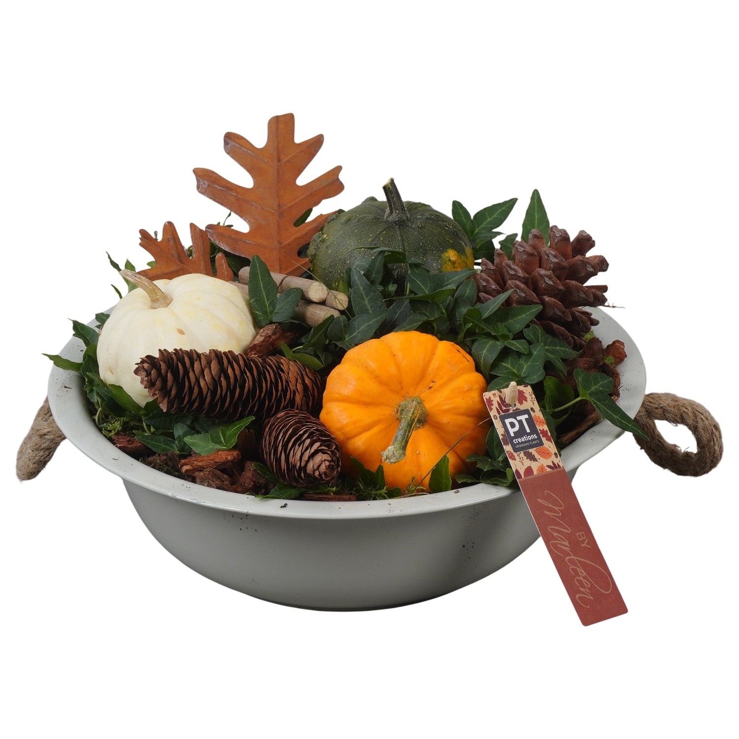 PTSF8210 Arrangement Kalebas hedera in metalen schaal, D 29 cm