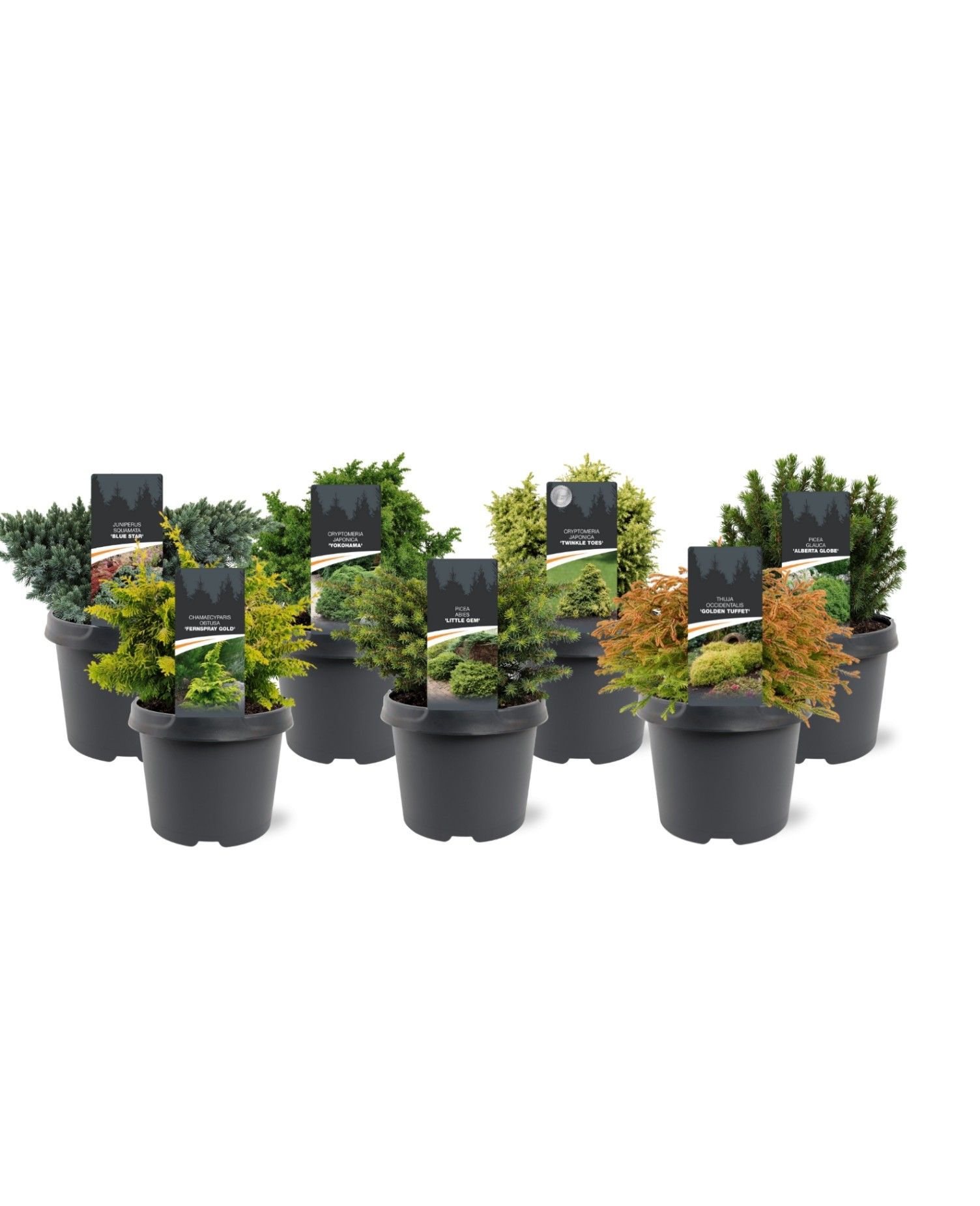 mixlaag C3 exclusief (mix kan afwijken van foto), D 19