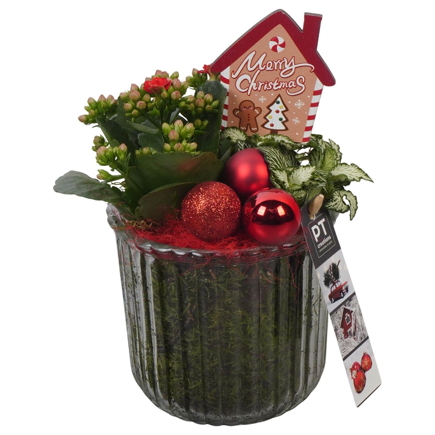 PTCHR7414 Arrangement Christmas Red in glazen pot, D 12 cm