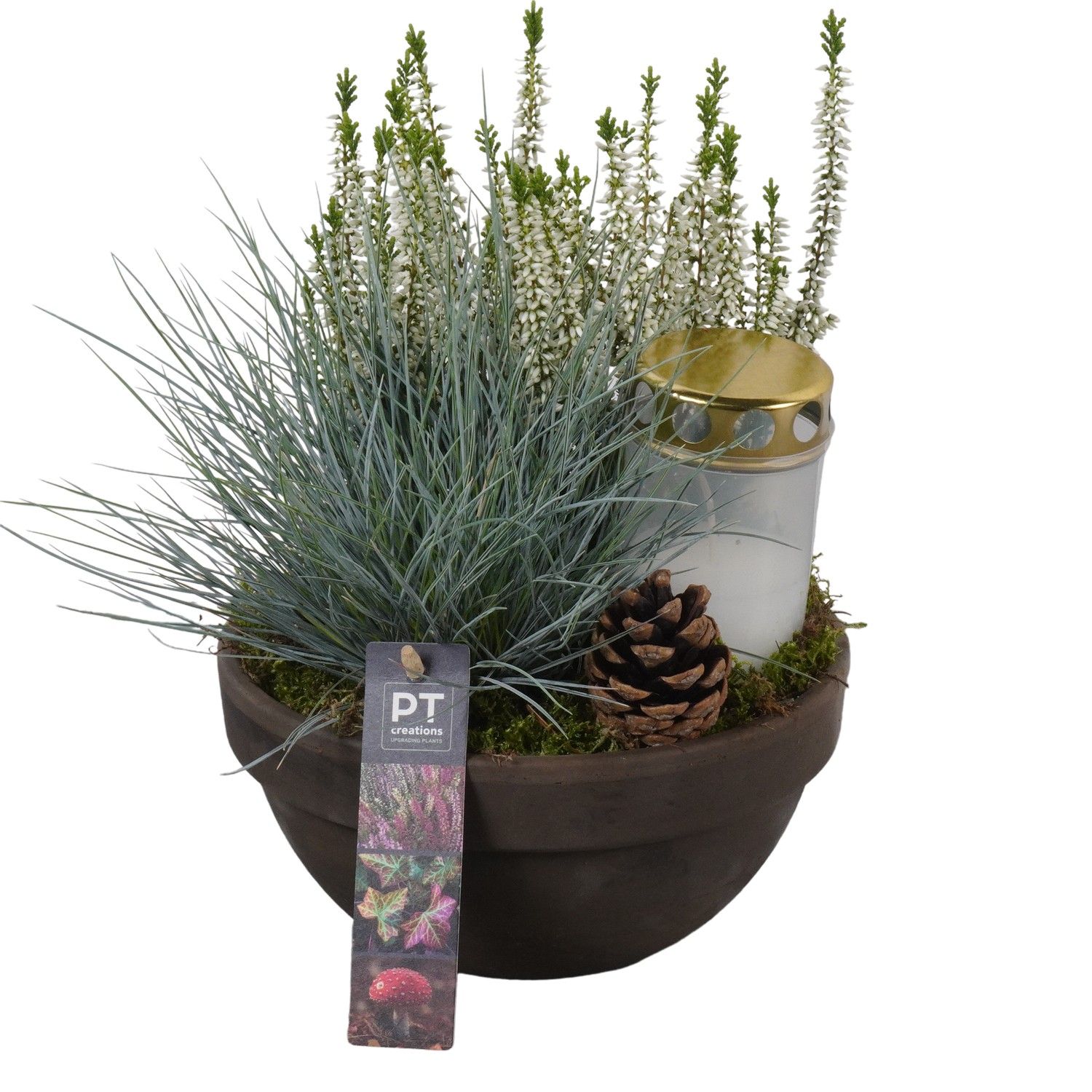 PTAH8638 Arrangement Allerheiligen in terracotta schaal, D 19 cm PTAH8638 Arrangement Allerheiligen in terracotta schaal, D 19 cm