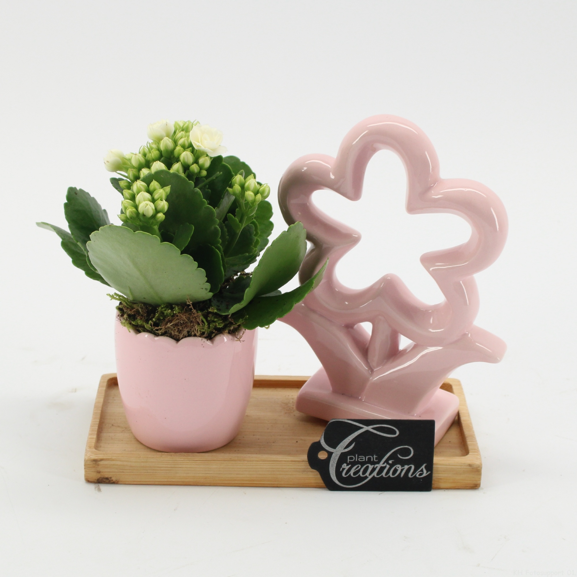 ESCR-2604W Essentials, D 19