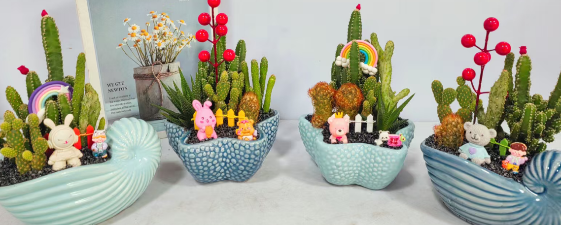 кактус Окин Мини Арт Гарден 10 14