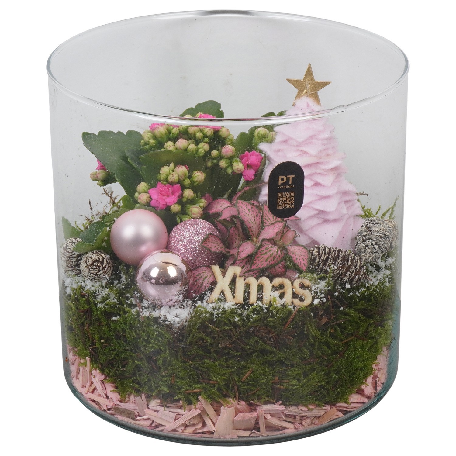 PTCHP8409 Arrangement Christmas Pink in glazen cylinder, D 19