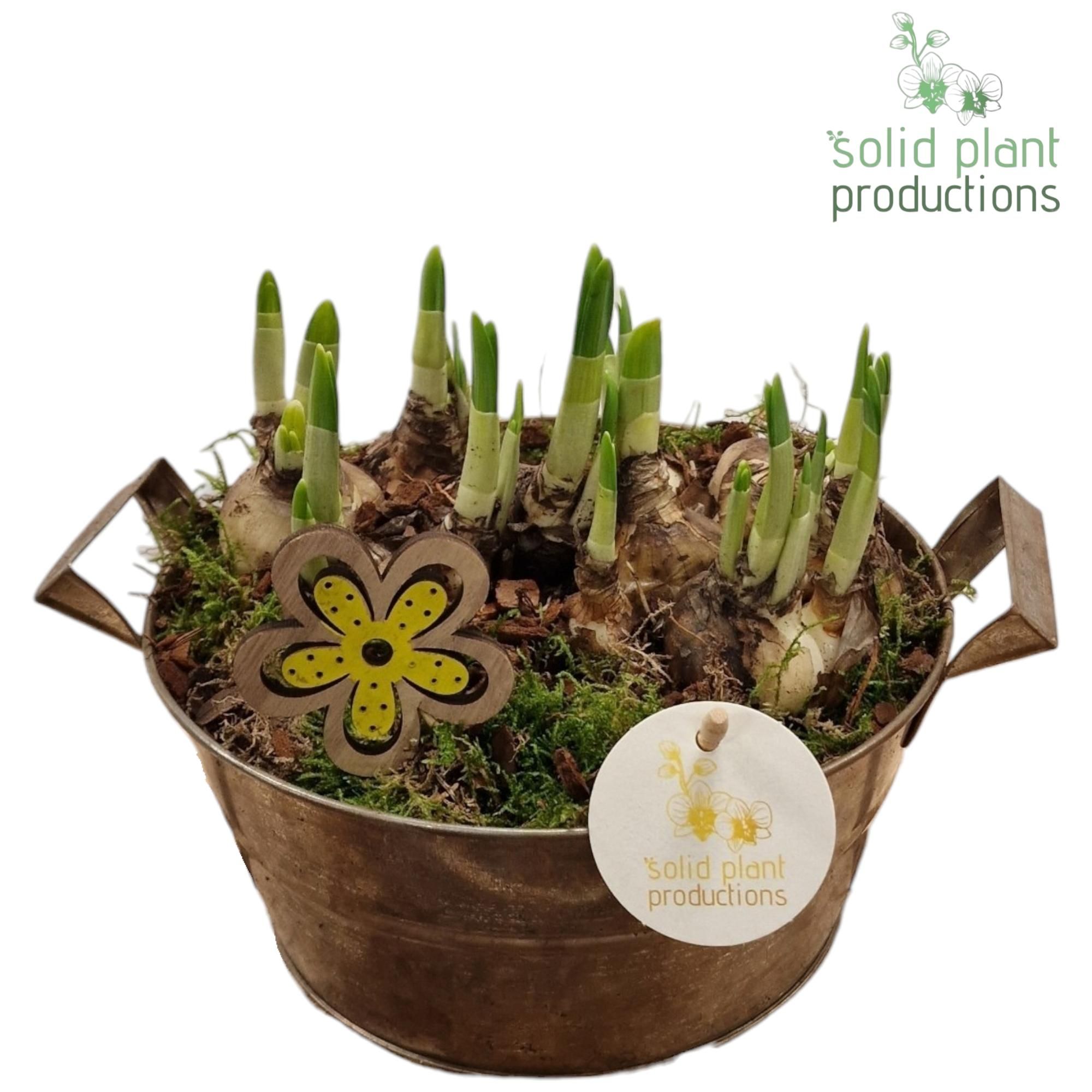 ZTE004 Antique Zinc Tête-á-Tête, D 20