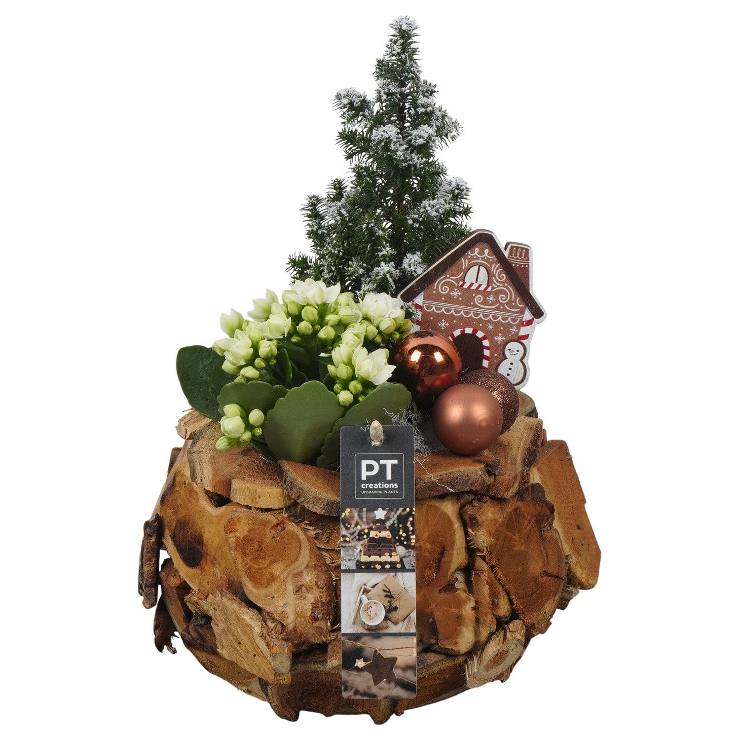 PTCHB9813 Arrangement Christmas Bronze in houten pot, D 21 cm