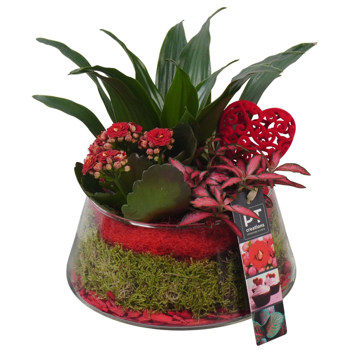 PTVMG4939 Arrangement Valentines-Mothersday in glas schaal, D 18