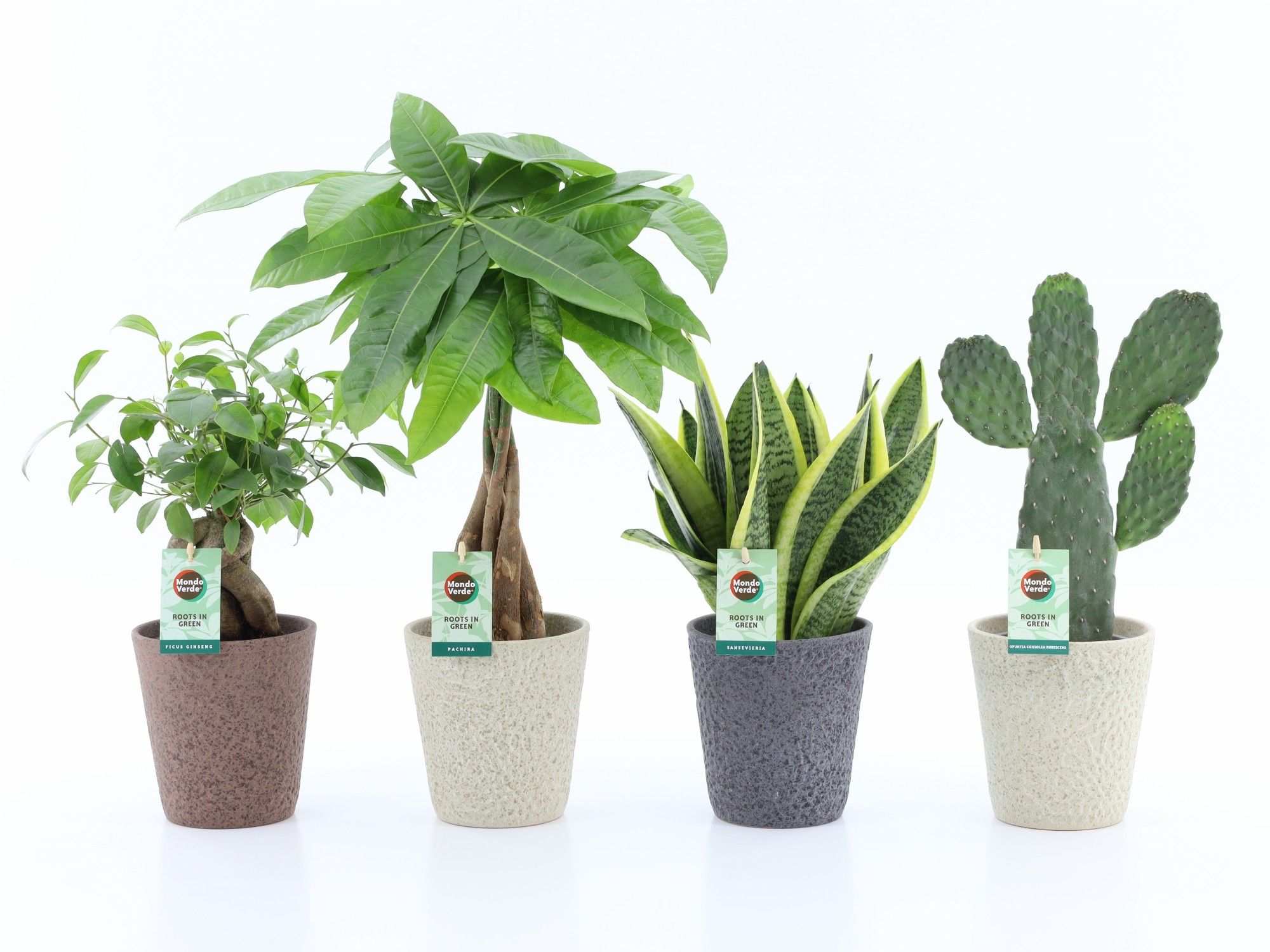 Asia Mix in Nature Keramiek, D 13