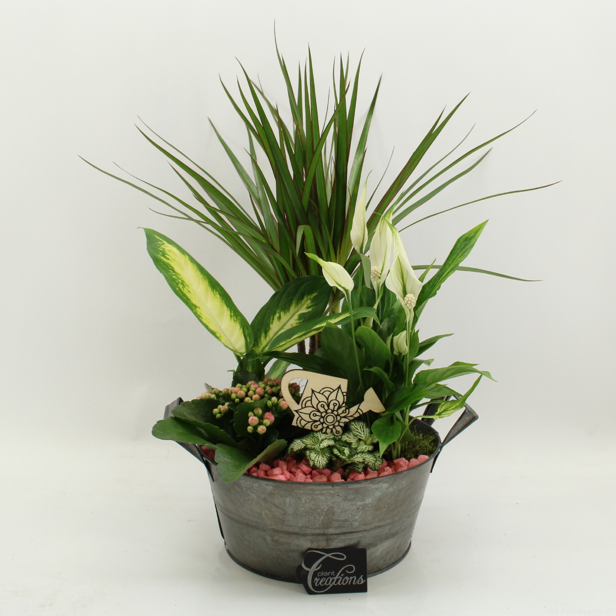 FDCR-2615RZ Basic Fundamentals, D 23