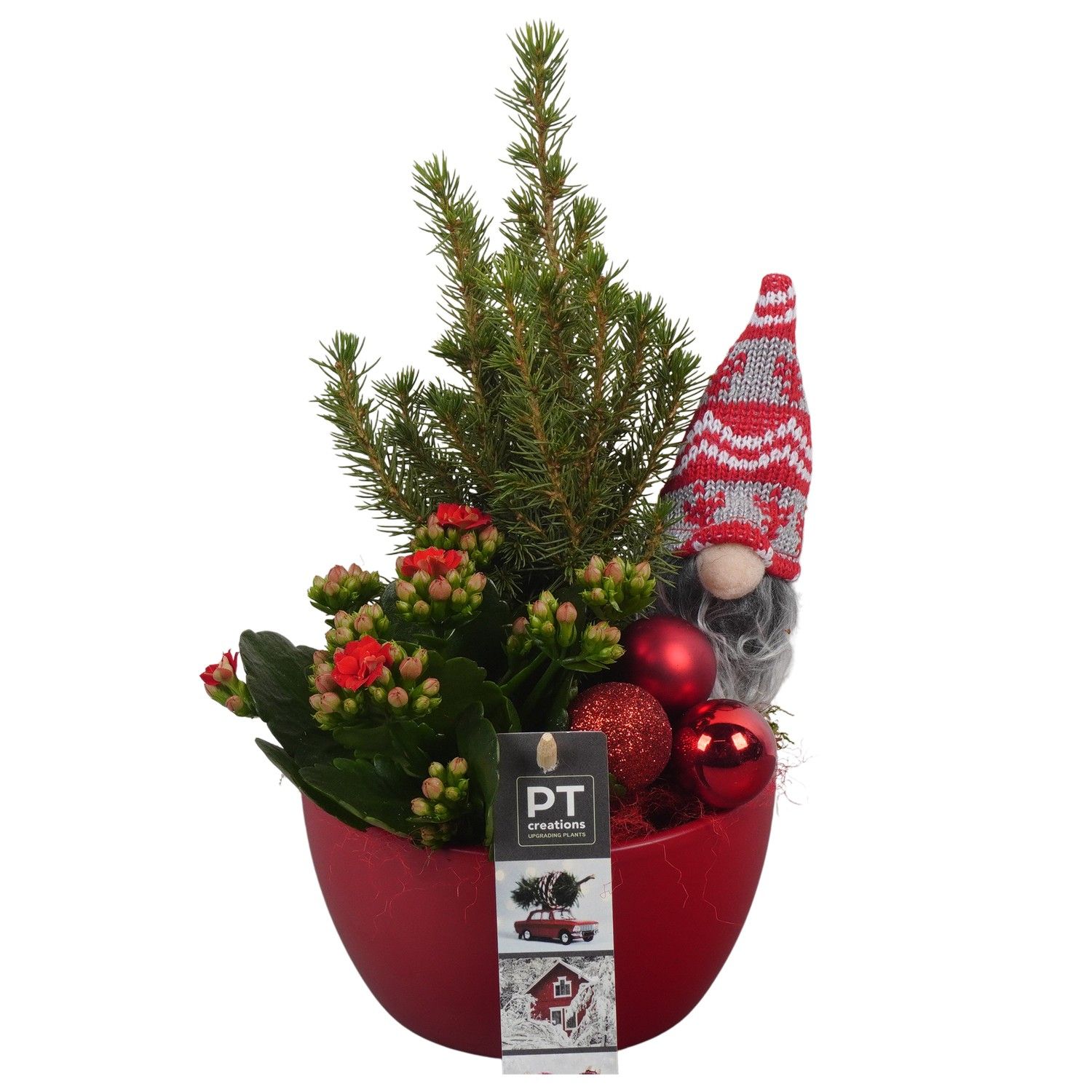 PTCHR7228 Arrangement Christmas Red in keramiek schaal, D 14 cm