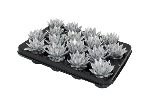 Miranda coloured silver + Natureglit®, D 6 cm