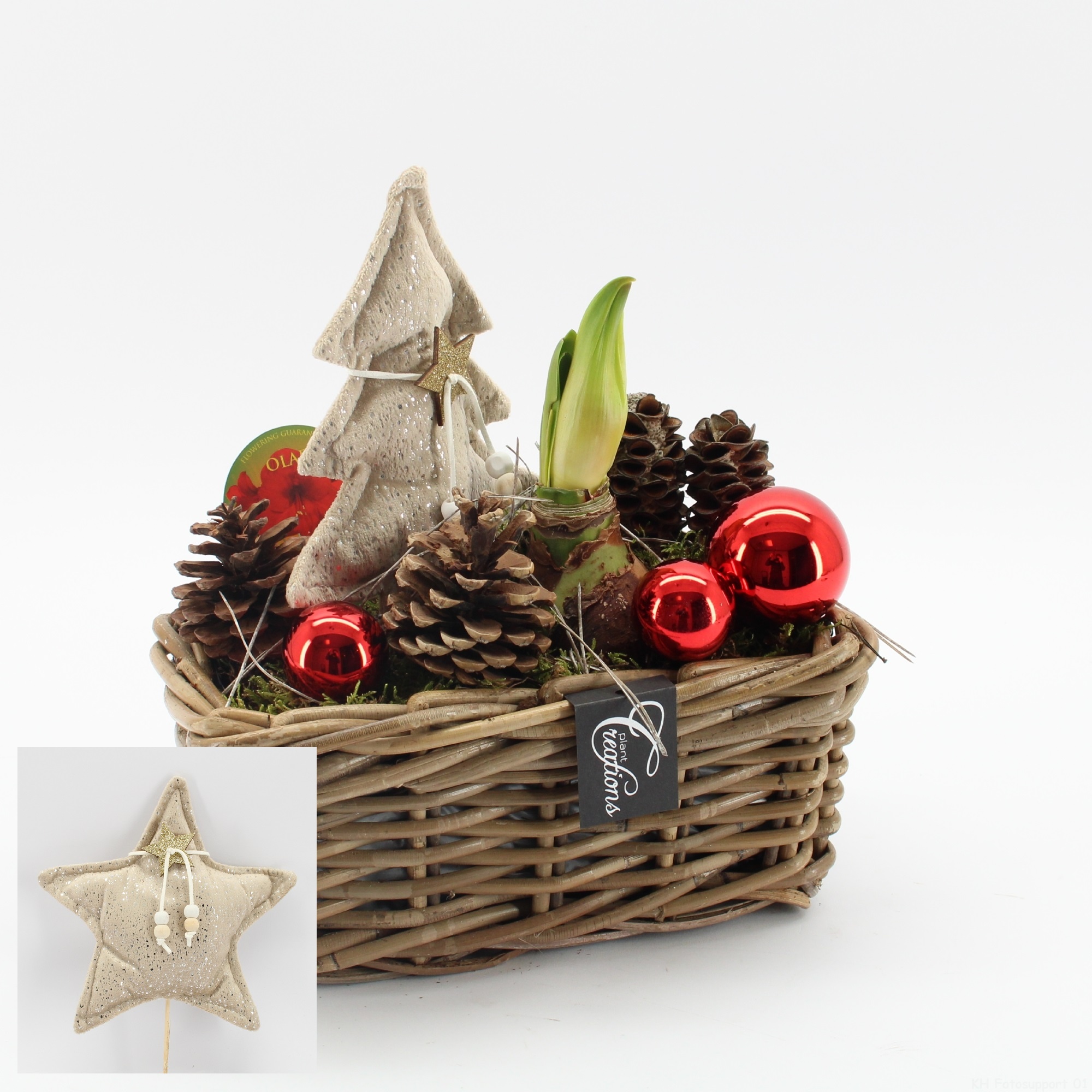 HICR-2525R Kerst Amaryllis, D 27 cm