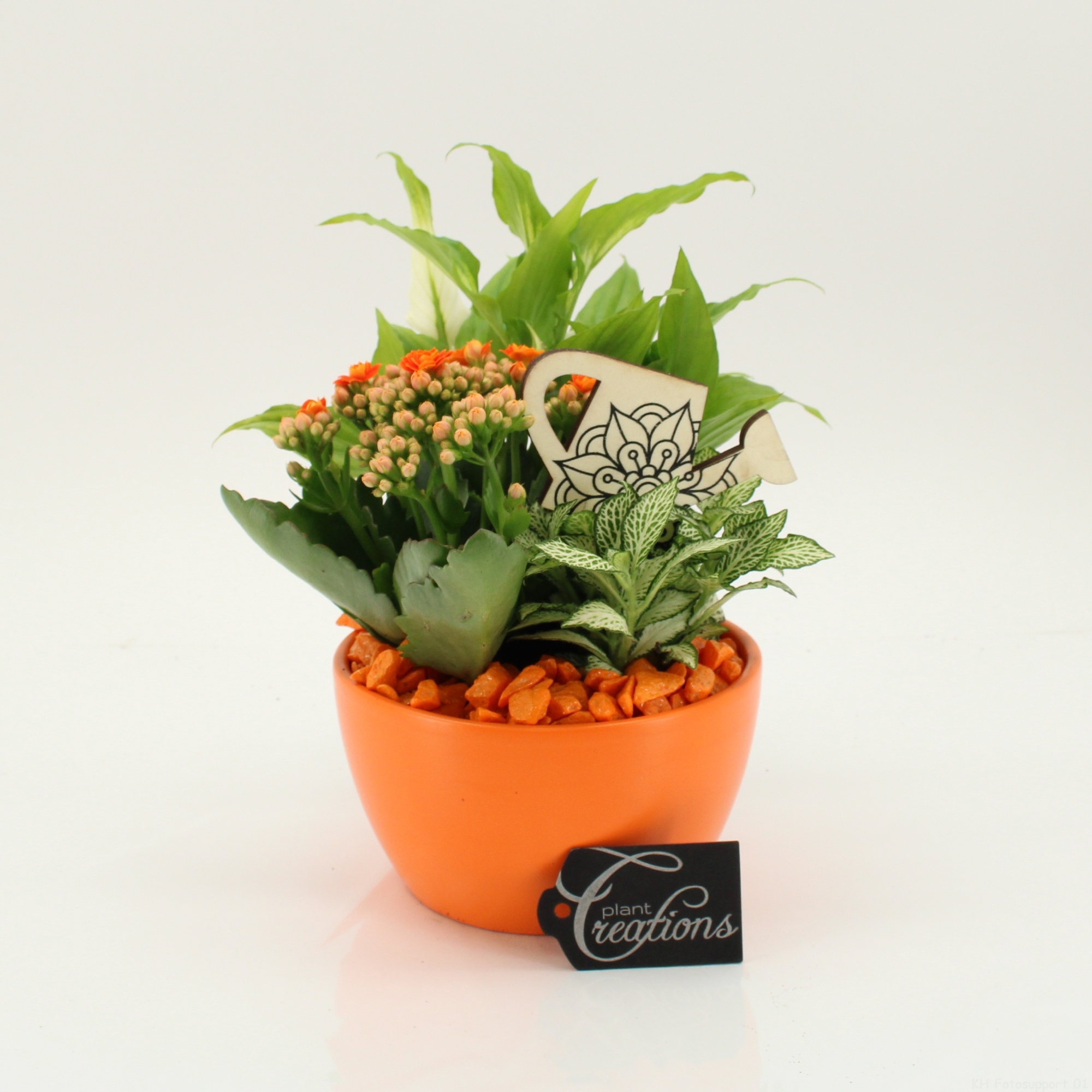 FDCR-2607OR Basic Fundamentals, D 14