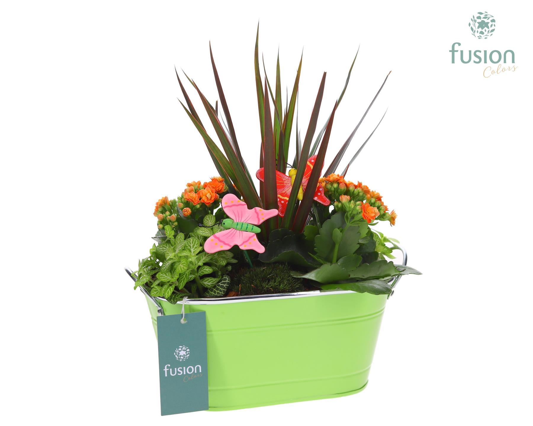 Schaal zink ovaal met Arrangement, D 25