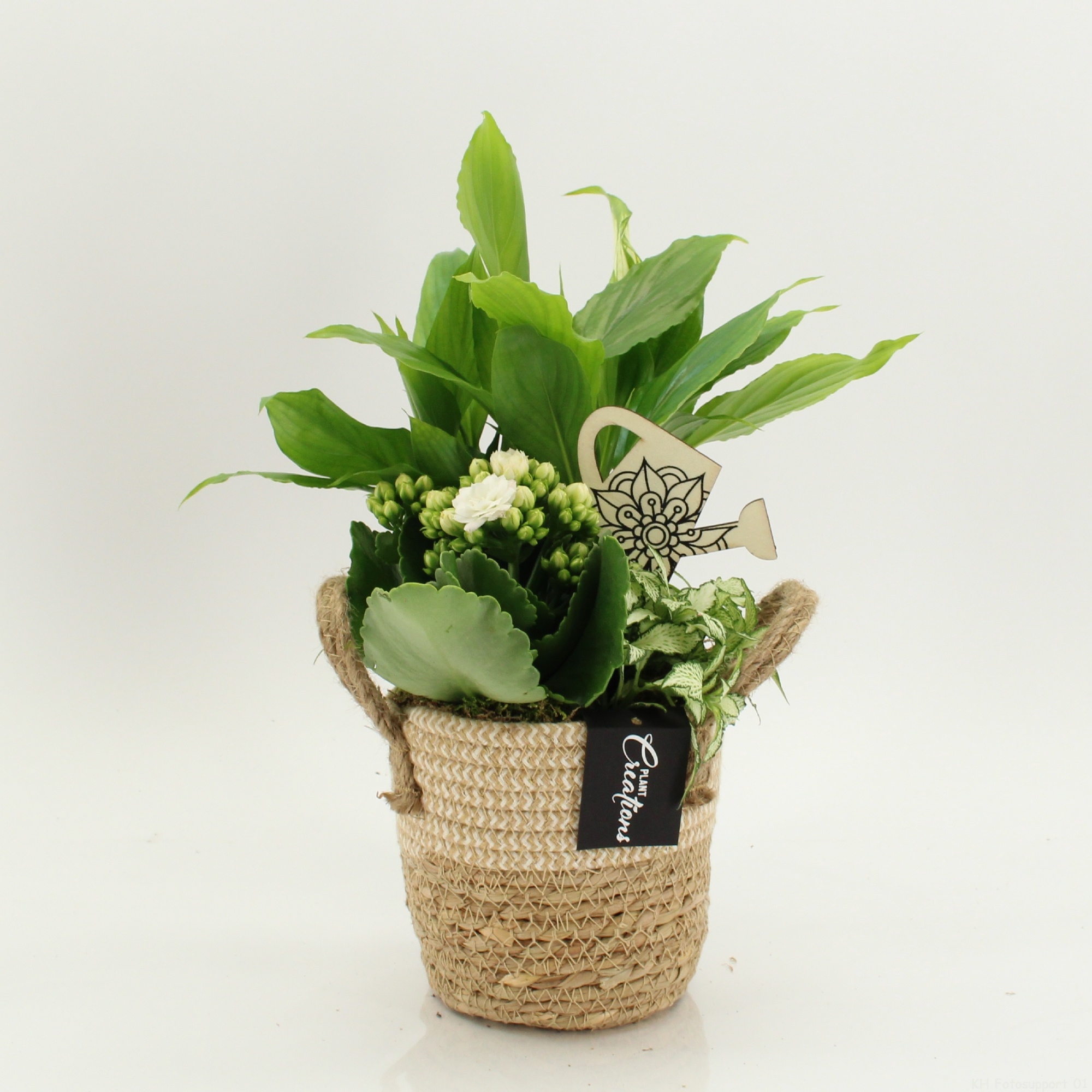 FDCR-2617W Basic Fundamentals, D 14