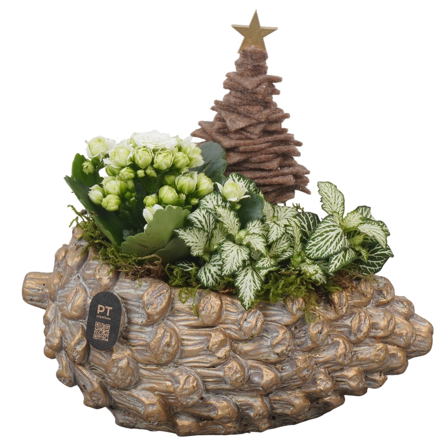 PTCHG4667 Arrangement Christmas Gold in beton pot, D 23