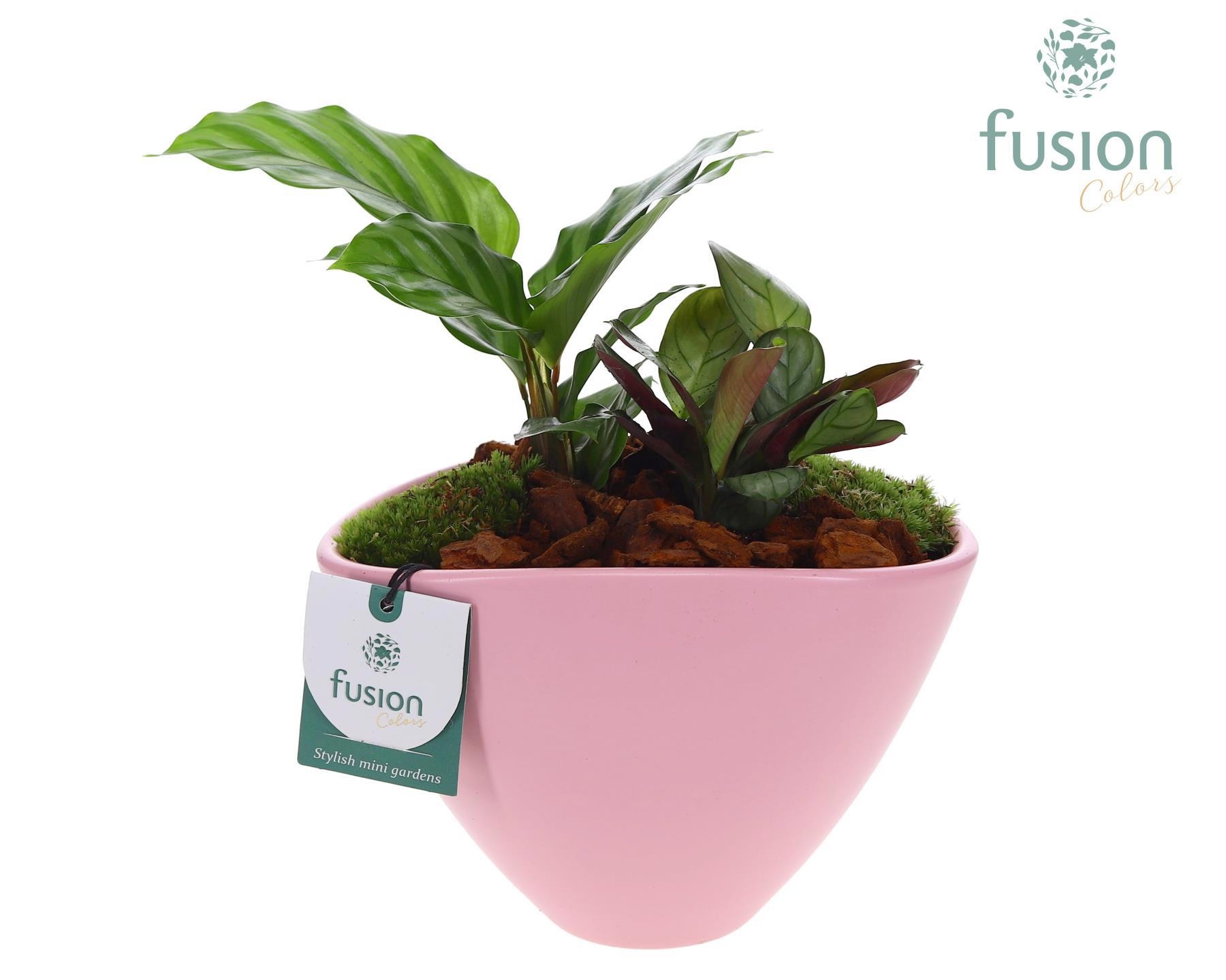 Pot keramiek ovaal Medium met Arrangement, D 18