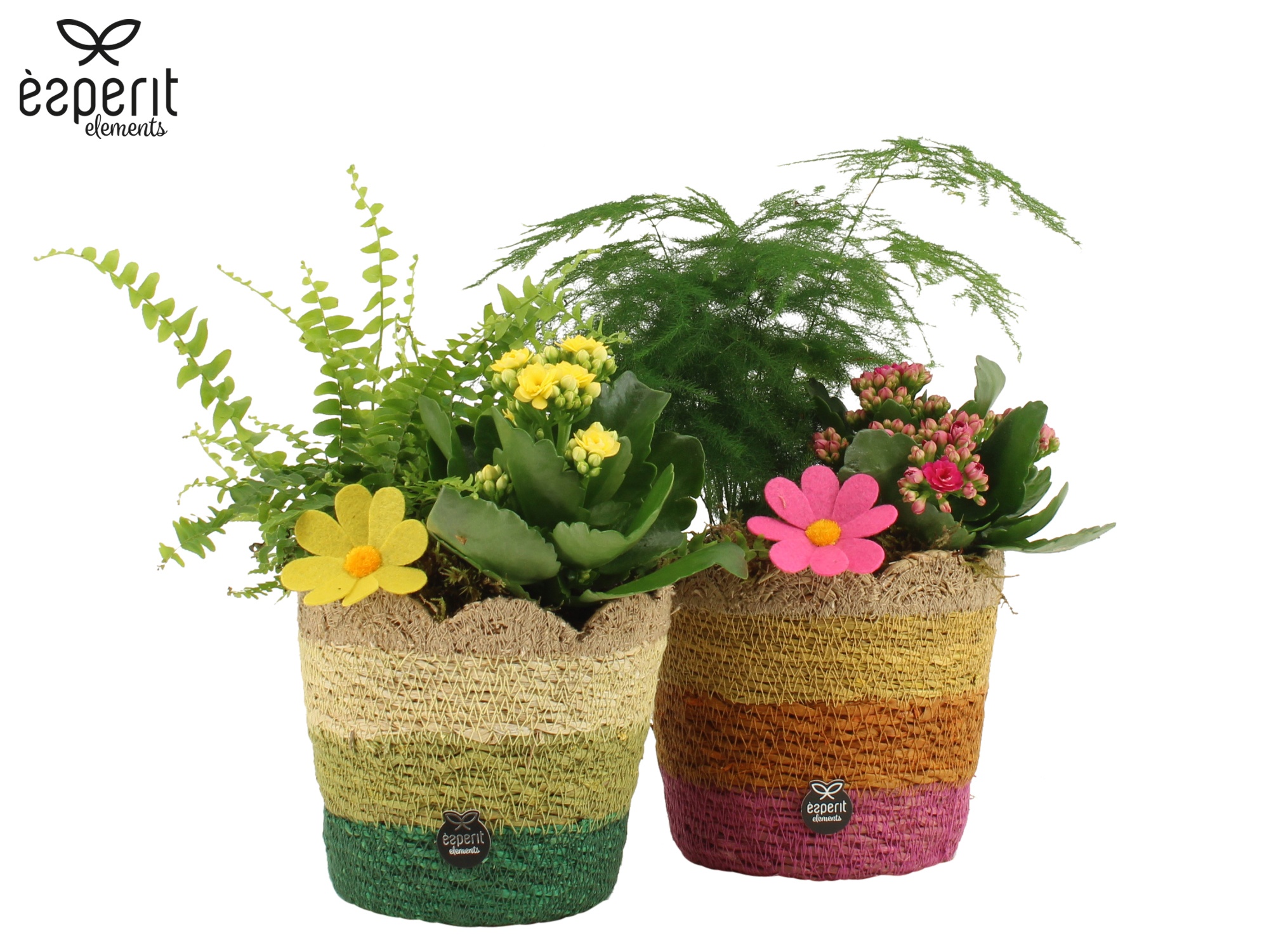 31770: Reinvention arrangement, D 15