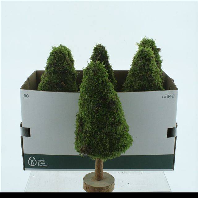 Мох Овериг Крашеный (краш. ), шт.