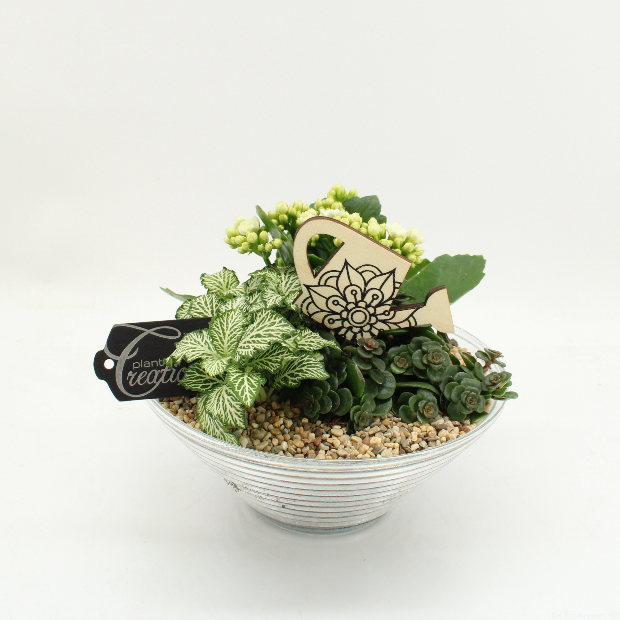 FDCR-2601W Basic Fundamentals, D 20