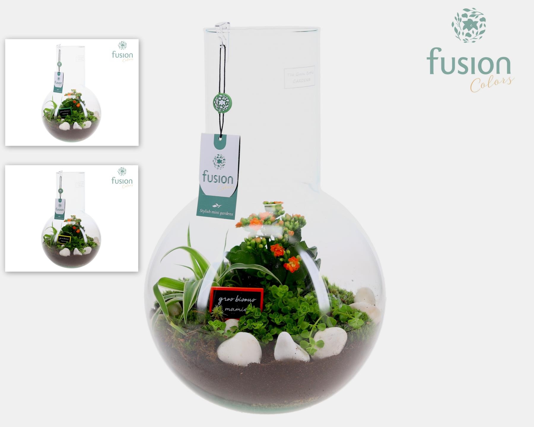 Green Bottle Suzanne Large met Grootmoederdag arrangement, D 26