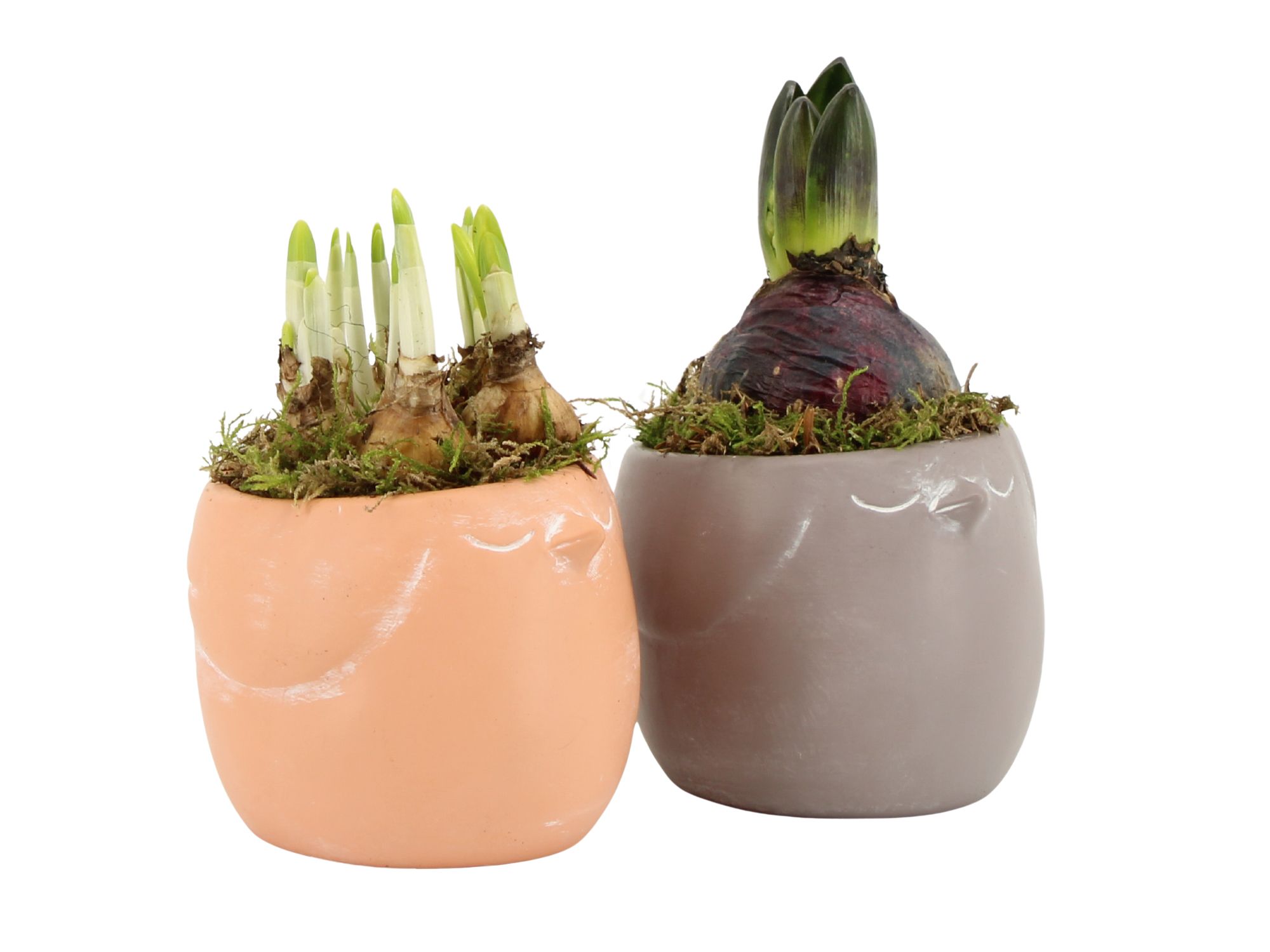 11454: Outdoor spring arrangement, D 9