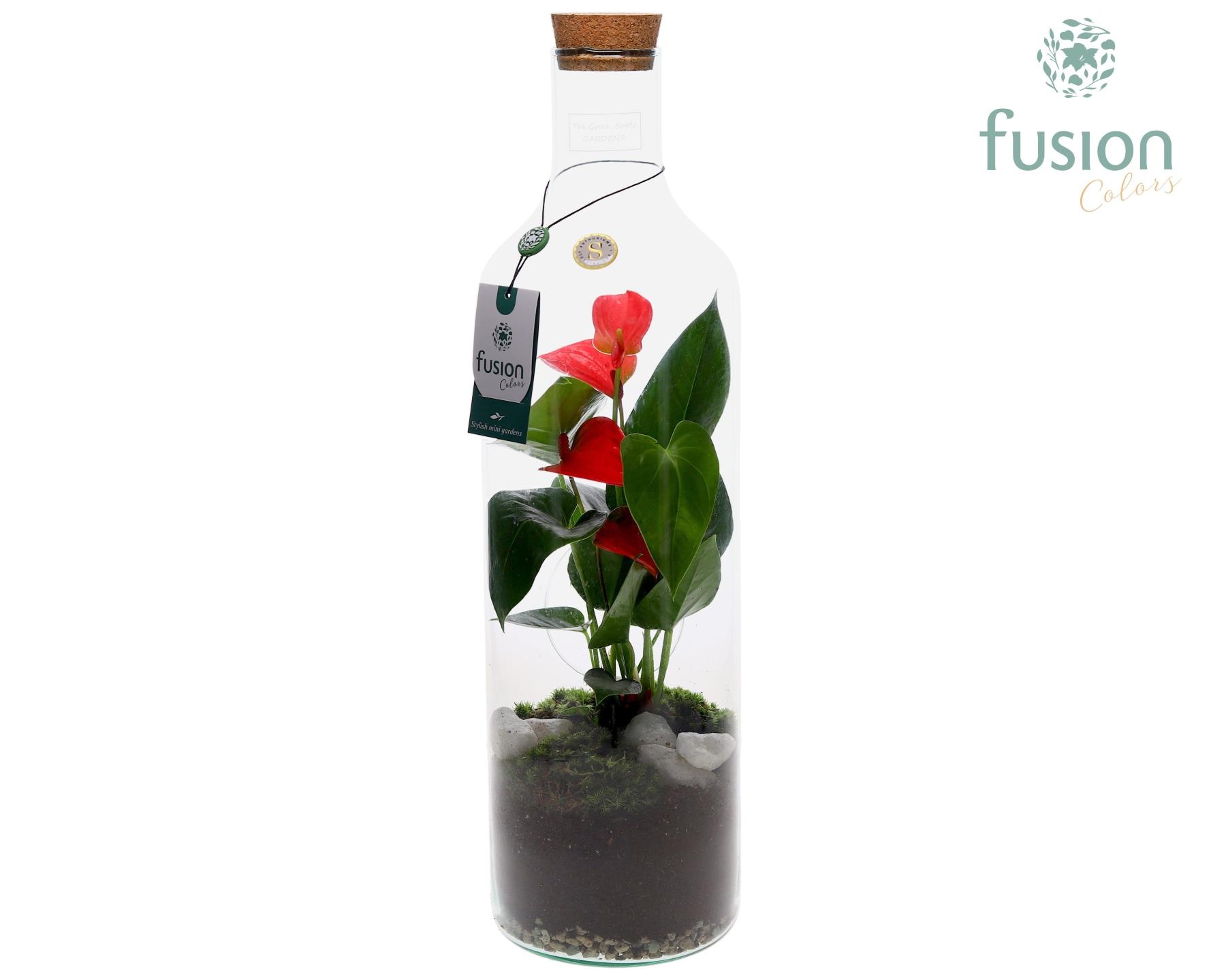 Green Bottle Fles Large met Anthurium, D 15