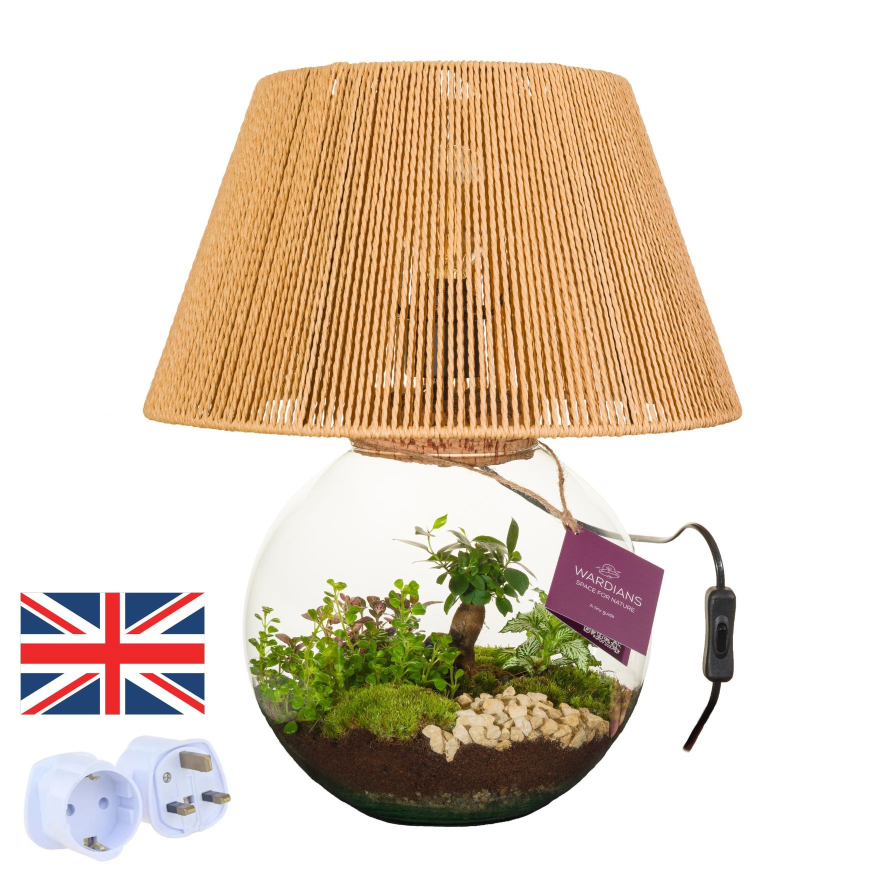 Wardians Terrarium - Moonlight + UK ADAPTER, D 36