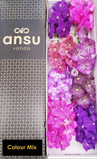 Ванда Таяни Микс x8, шт.