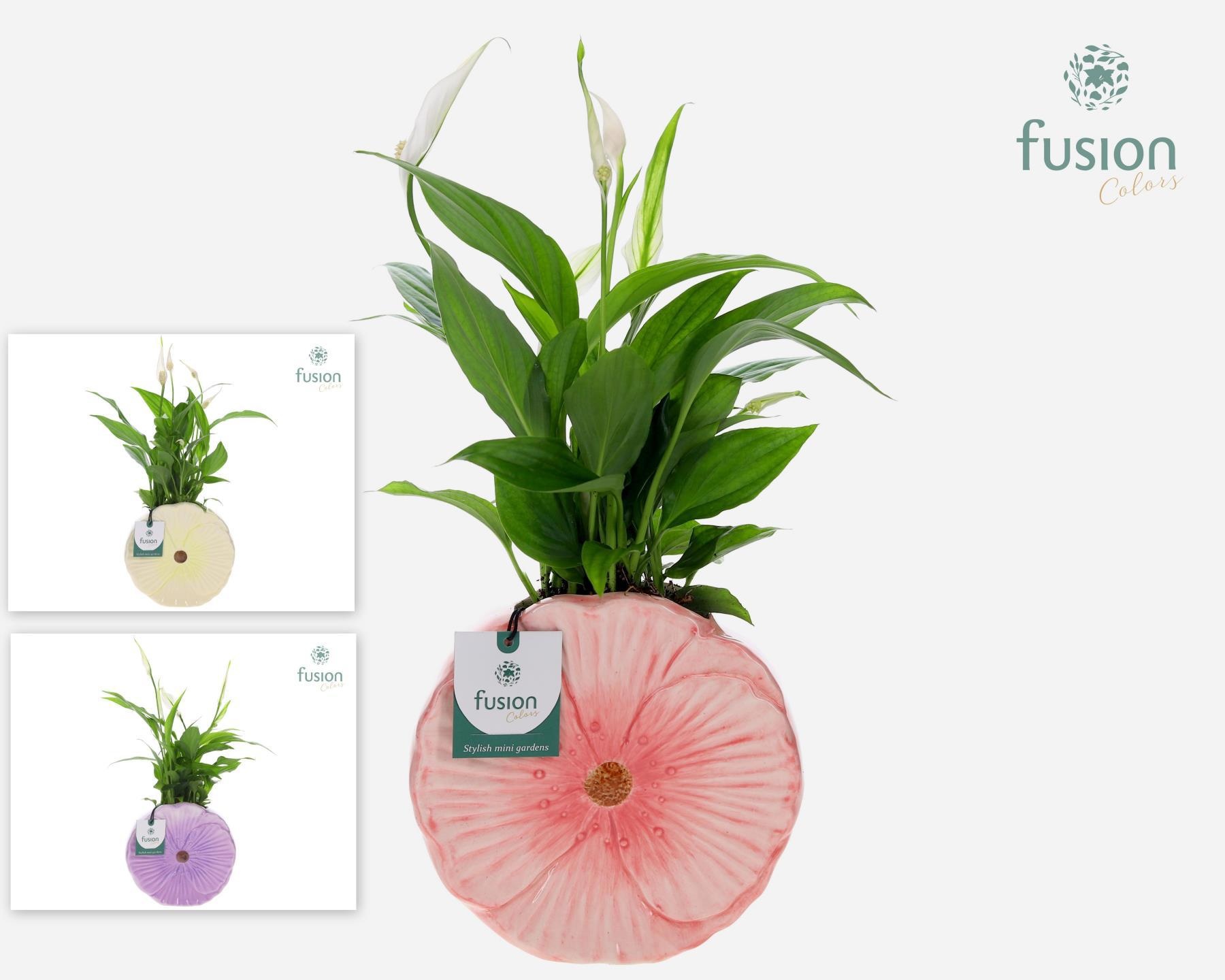 Keramiek Medium pot met Spathiphyllum, D 18