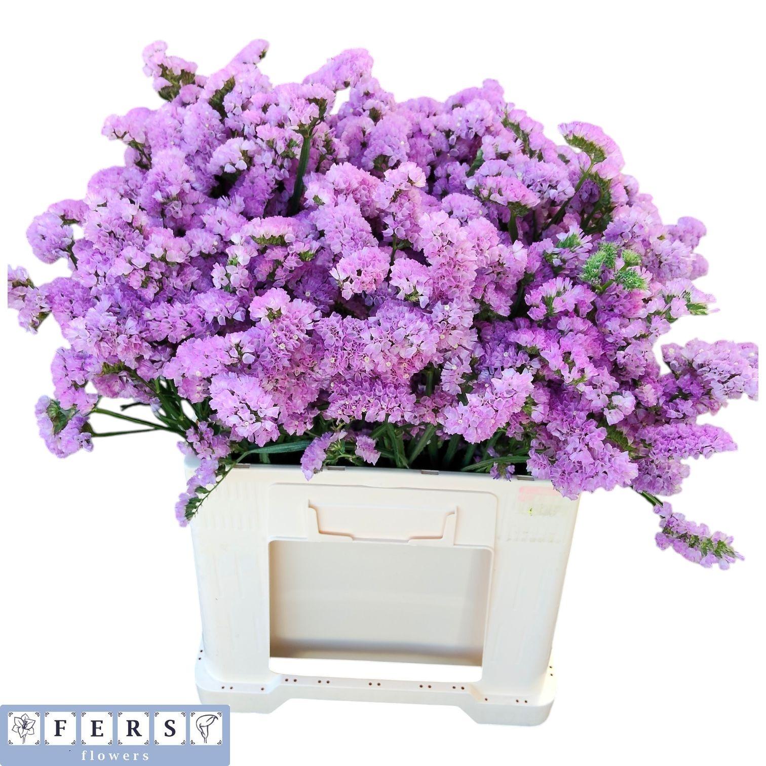 Статица Фантазия Вингз 60, шт.