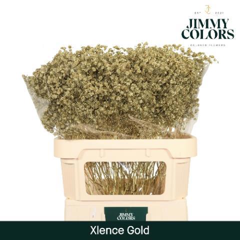 Гипсофила Овериг Крашеная (краш. ) 80, шт.