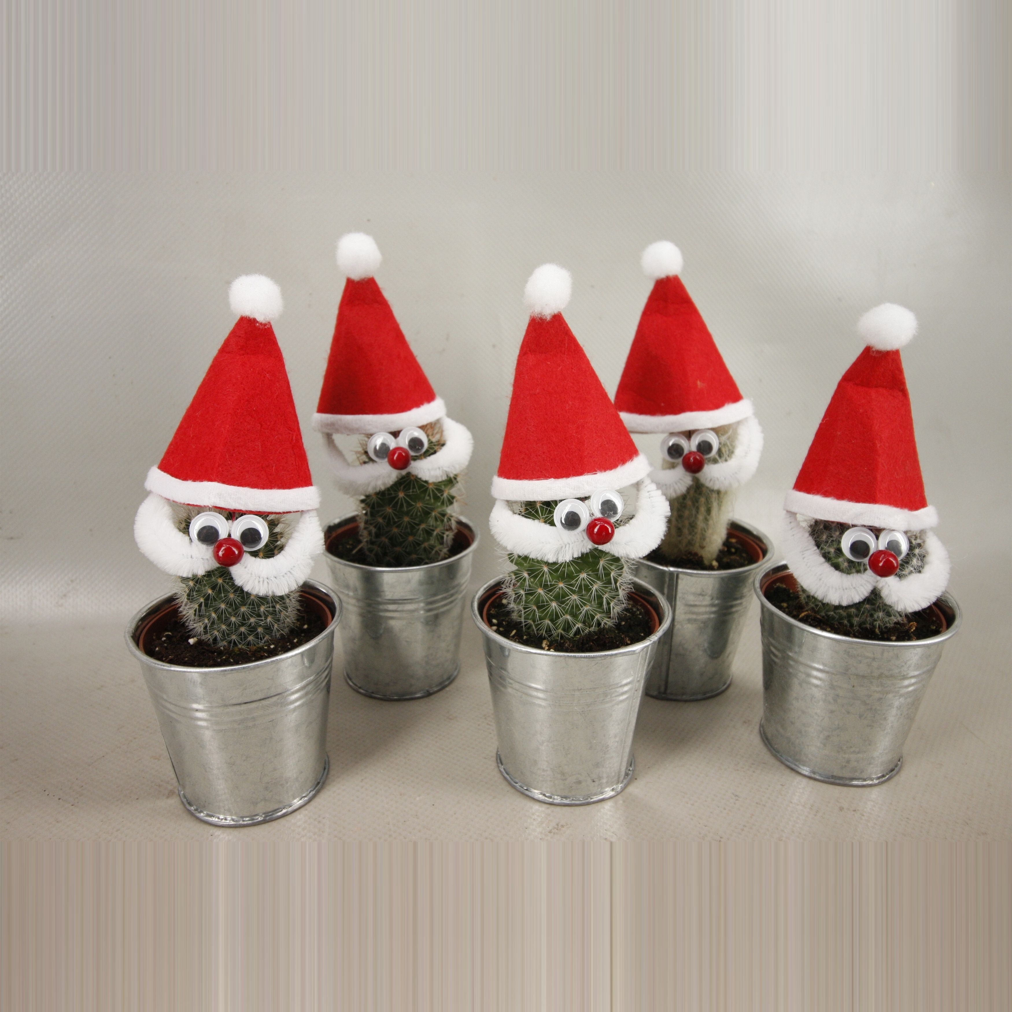 402Kerstman cactus zink6,5 cm, D 7,5