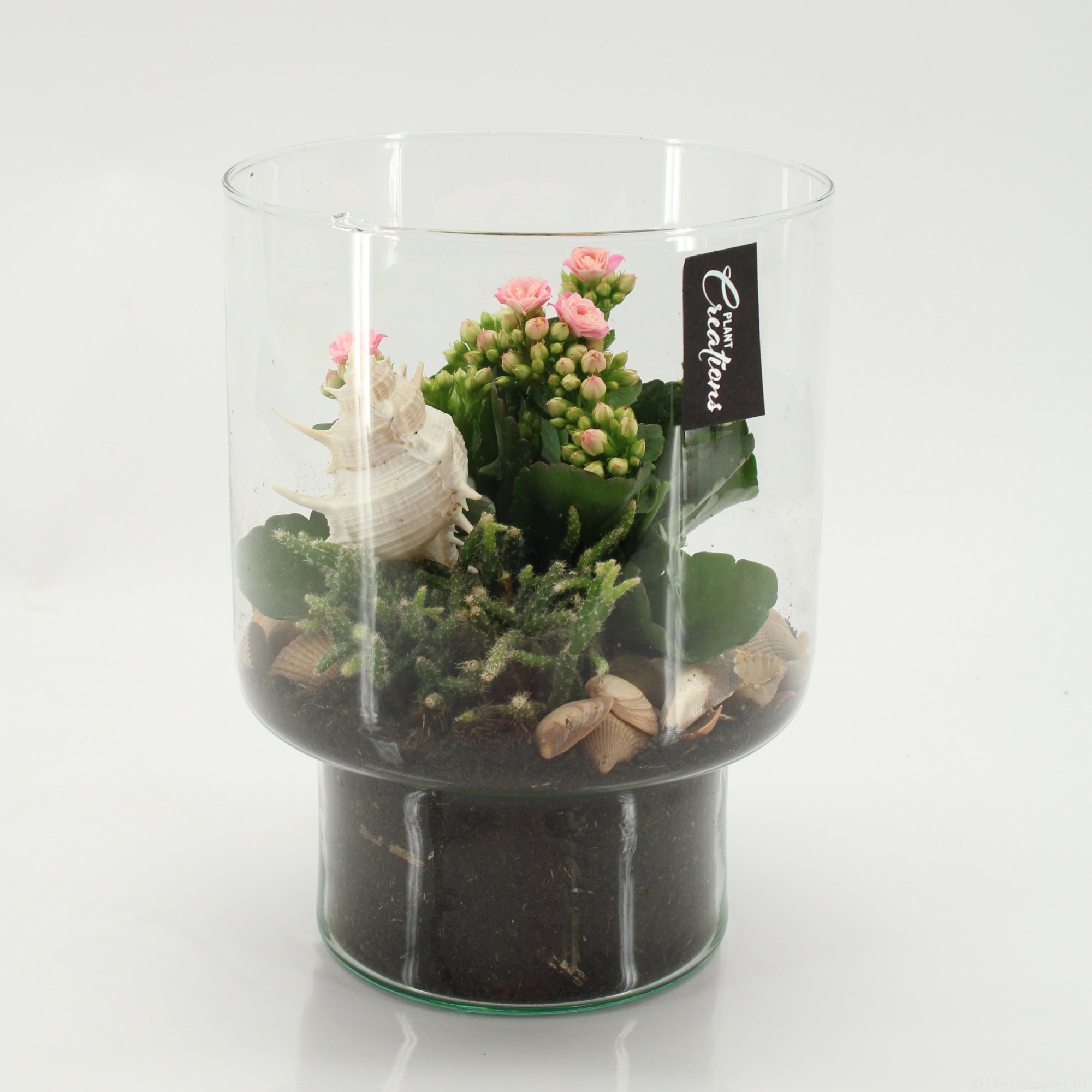 SFCR-2616 Summer Beach, D 15