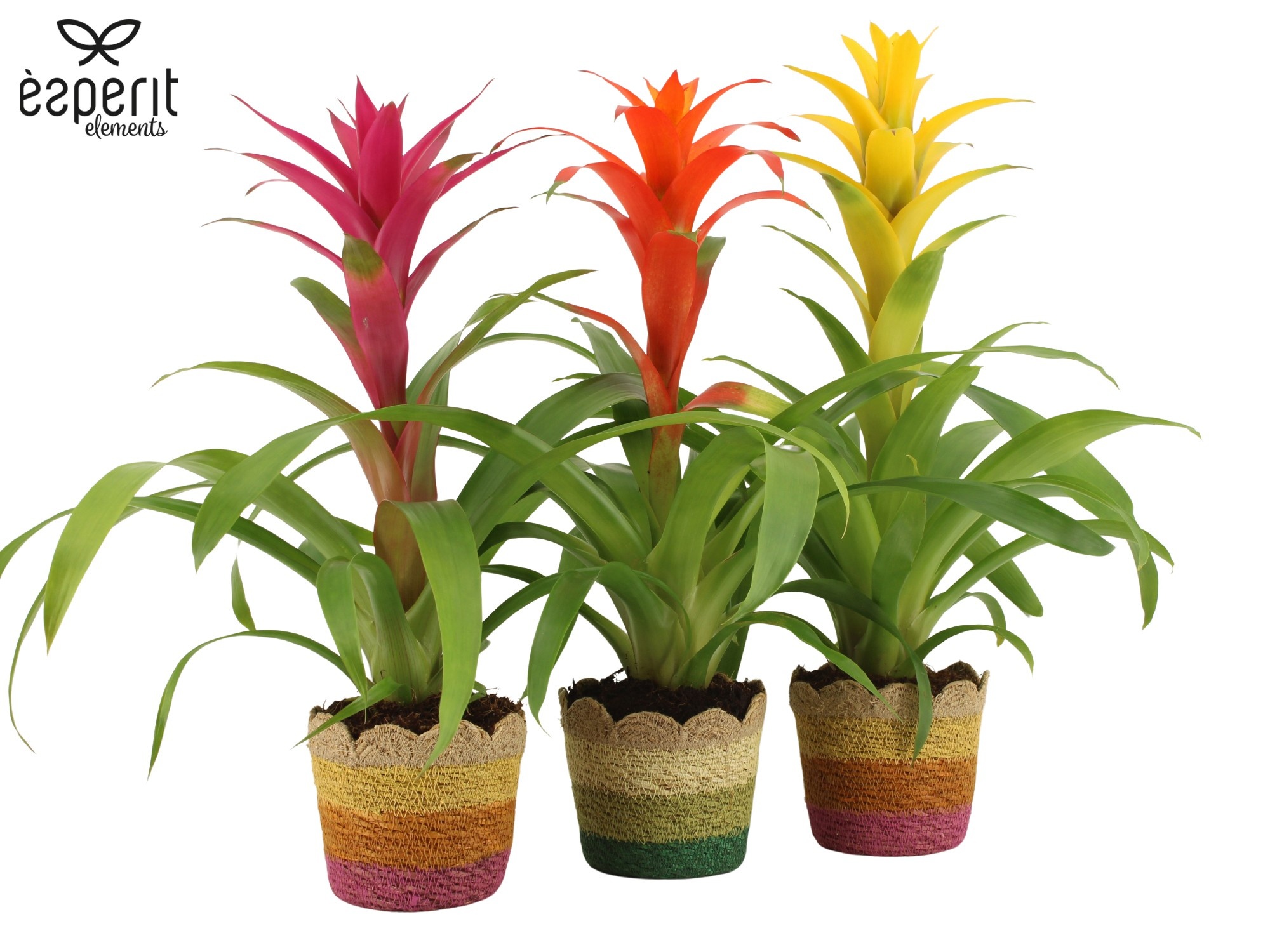 7503611: Solutionss Reinvention, D 12