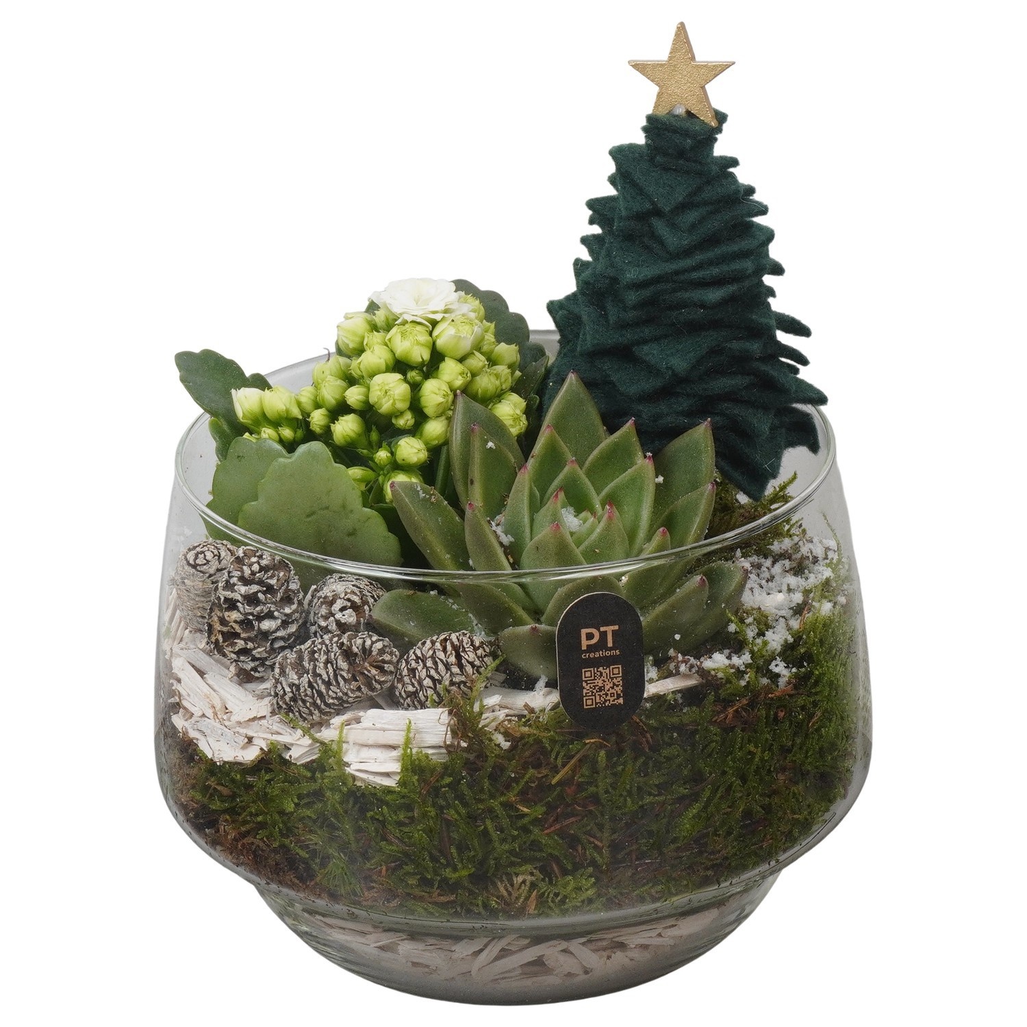 PTCHGR1931 Arrangement Christmas Green in glazen vaas, D 17