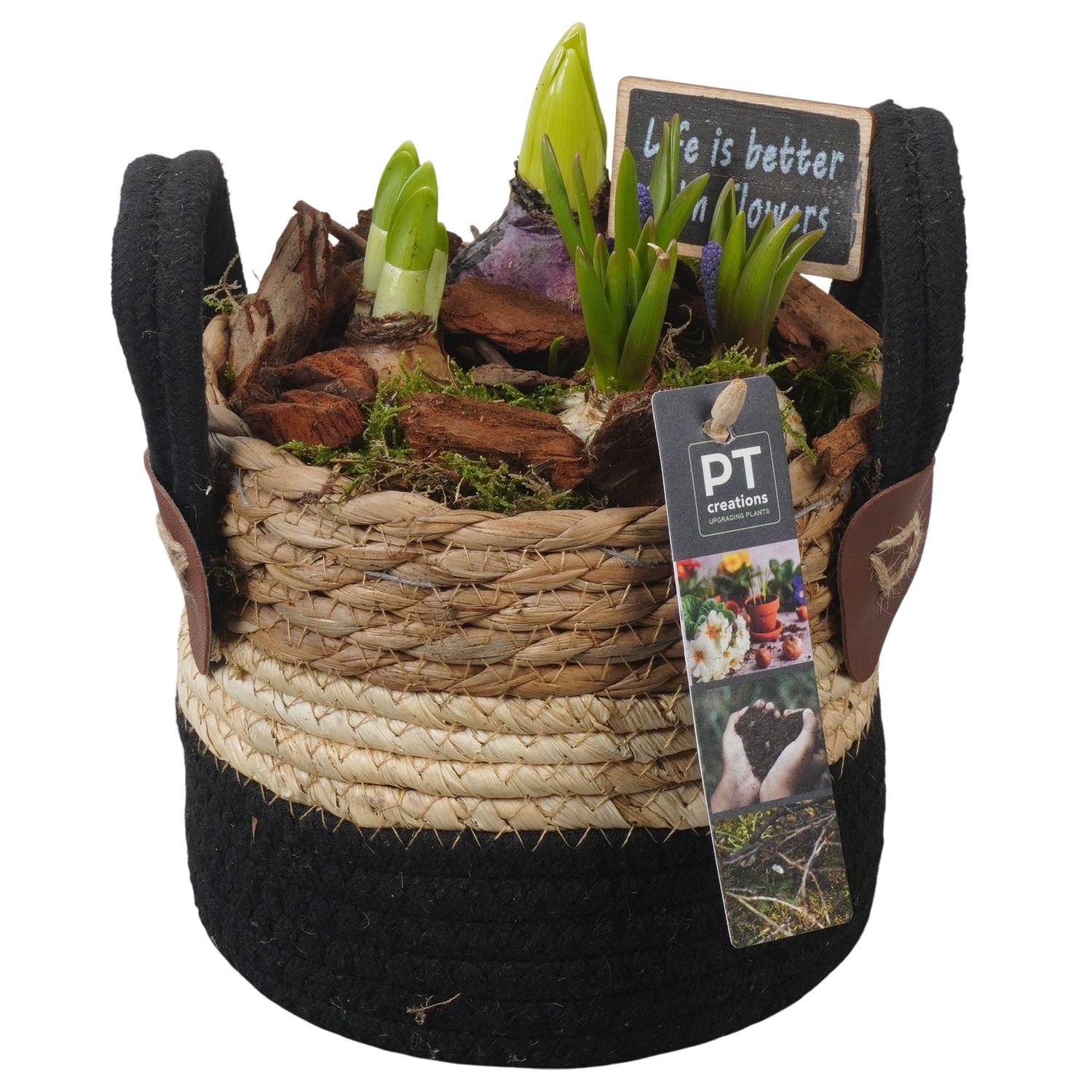 PTBM3829 Arrangement Flower Bulbs Mix in rieten mand, D 13