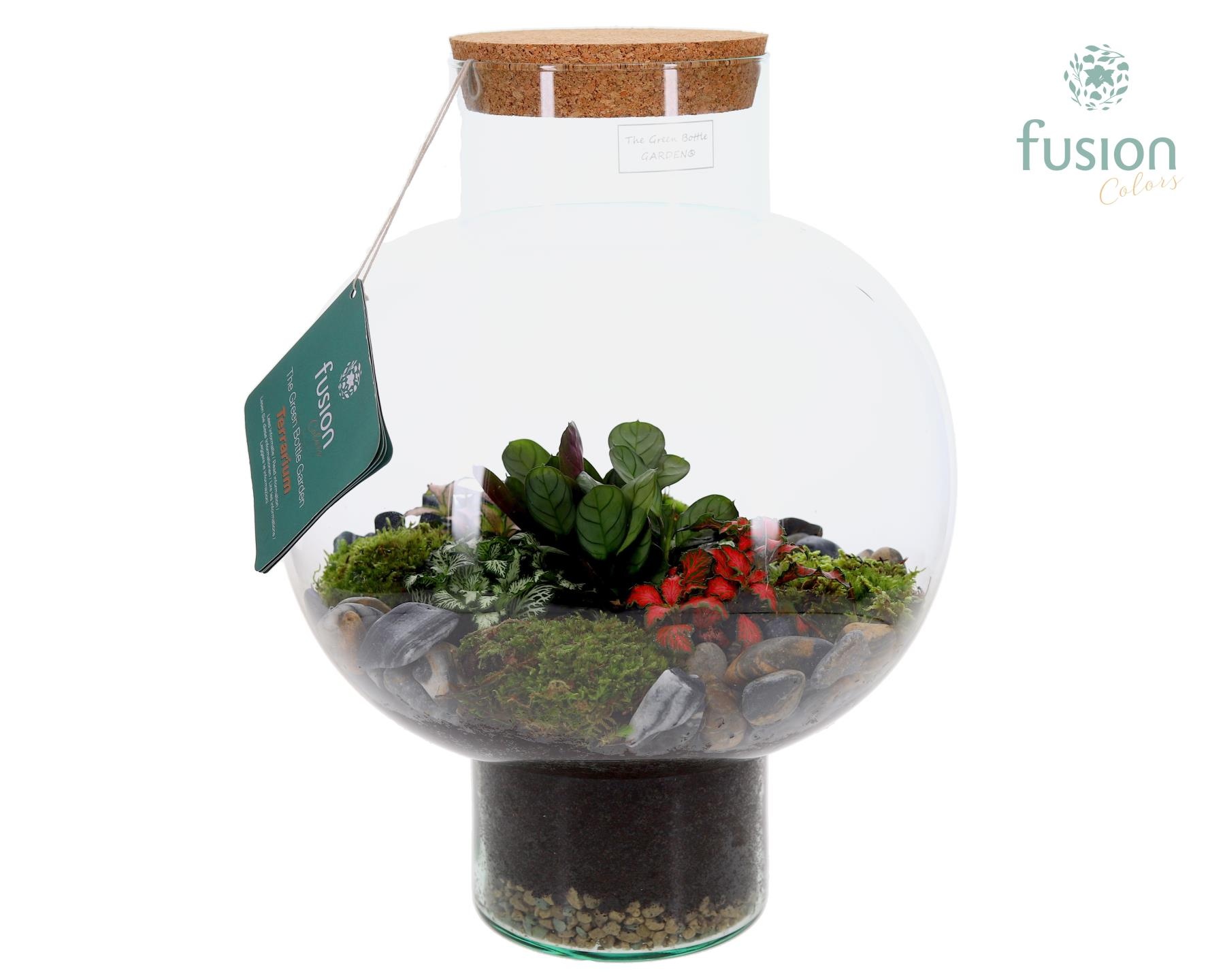 Green Bottle Laura Large met Terrarium arrangement, D 31