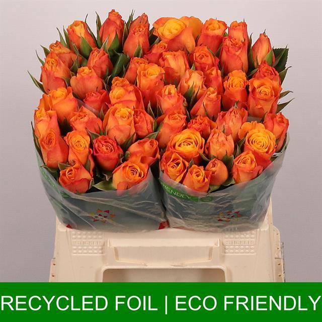 Роза од. Конфиденшиал 40, шт.