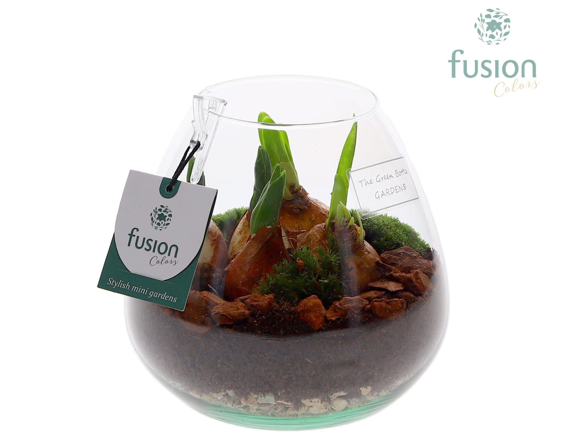 Green Bottle Abby Small met Bollen mix, D 15 cm