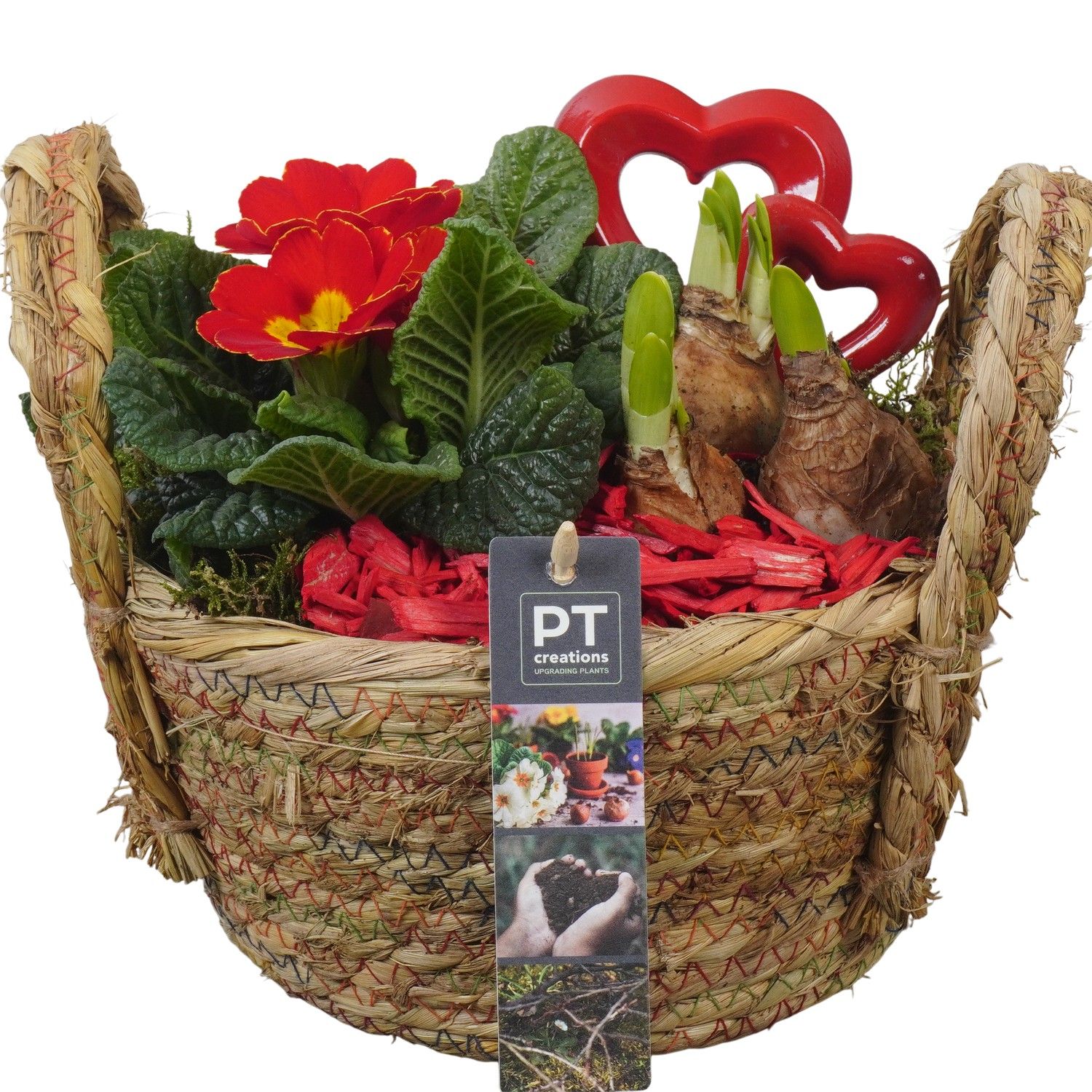 PTVO3631 Arrangement Valentine Outdoor in rieten mand, D 18