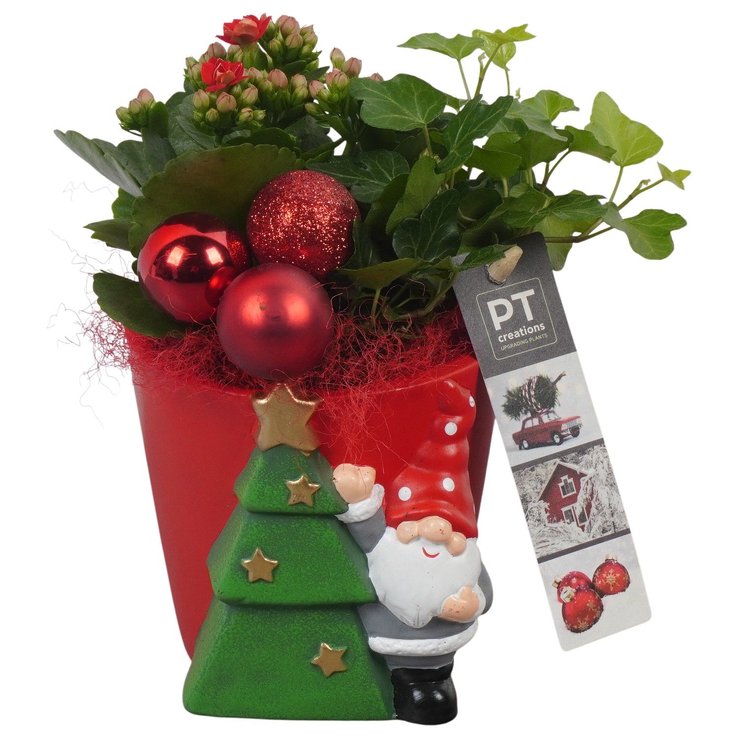 PTCHR7272 Arrangement Christmas Red in keramiek pot, D 11 cm