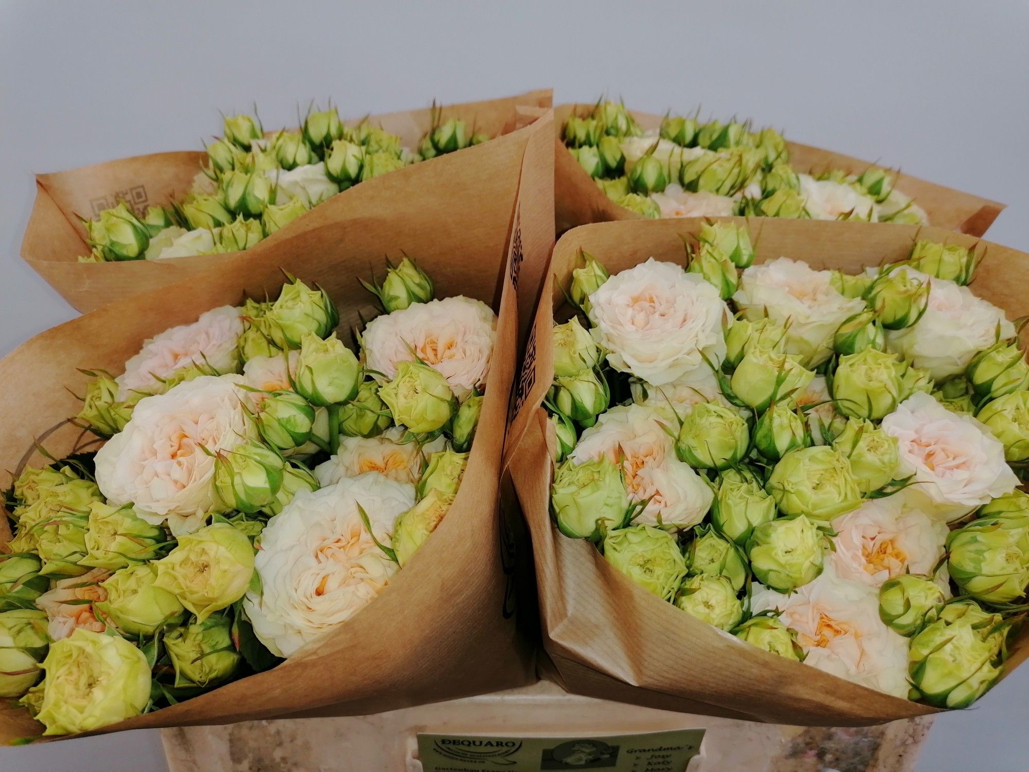 Роза куст. Грэндмас Лили 50, шт.