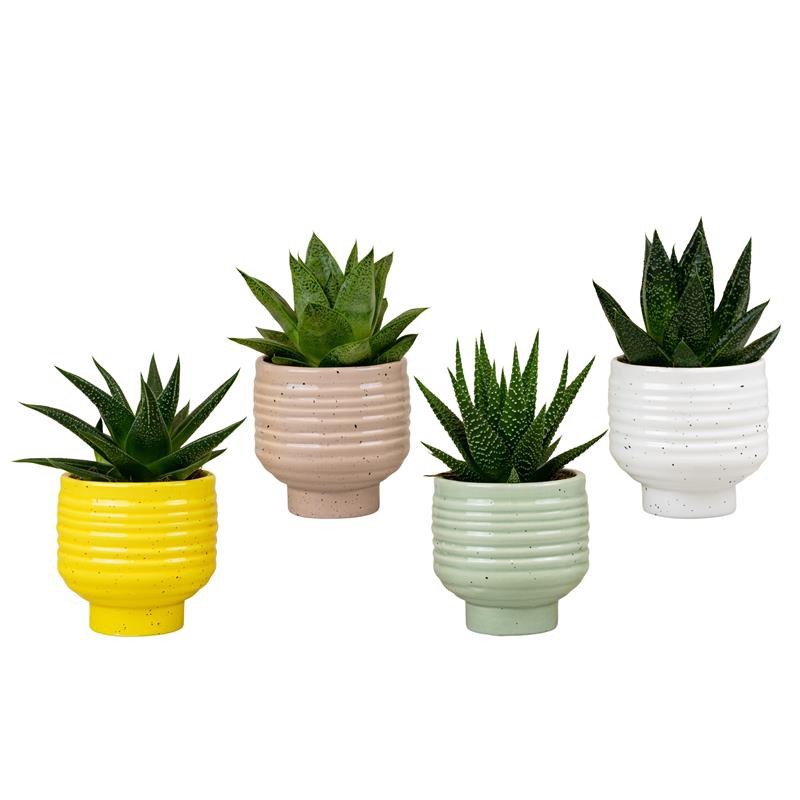 520645 Spritz EASTER CERAMIC, D 6