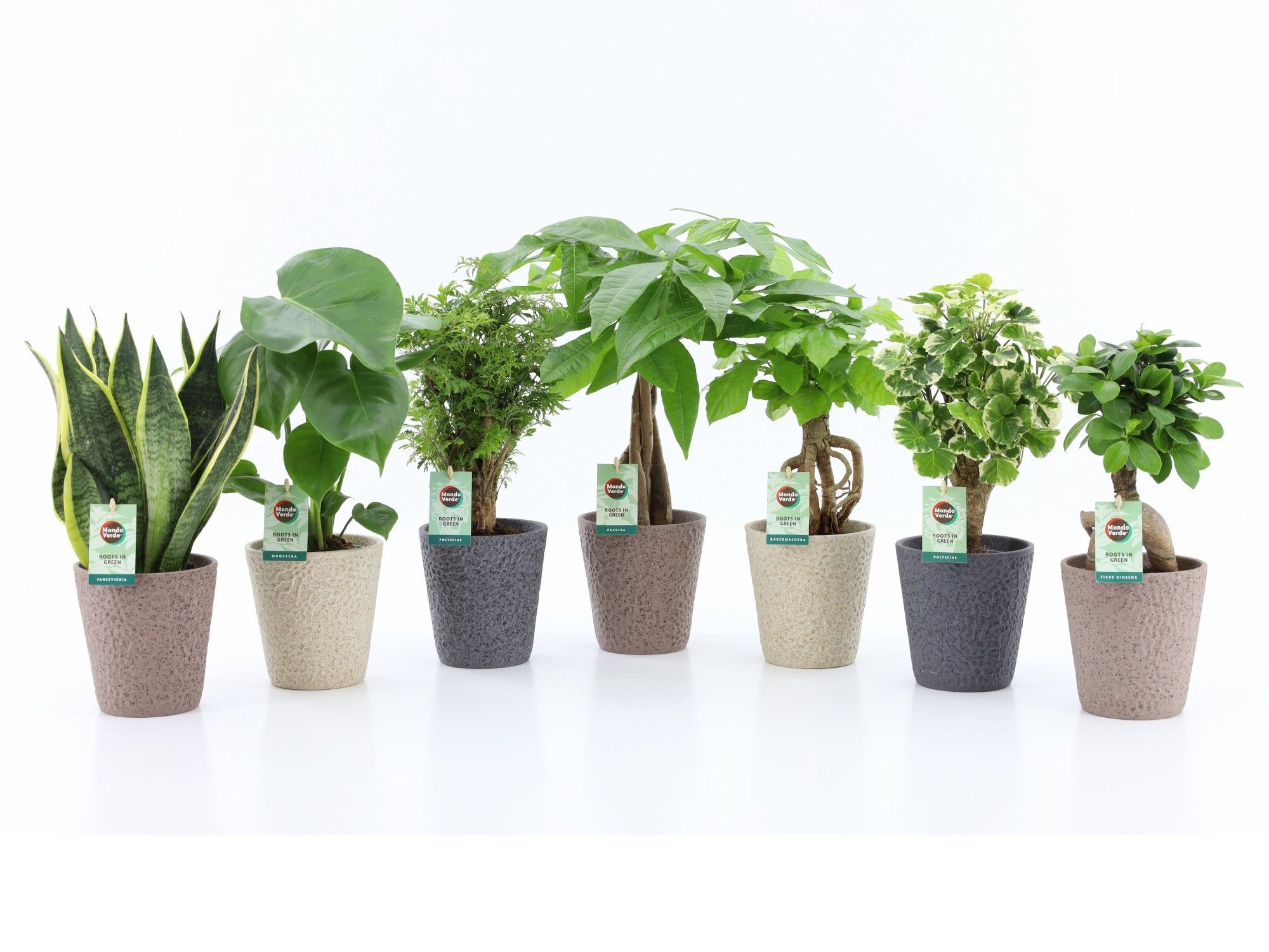 Exotic Green Mix in Nature keramiek, D 13