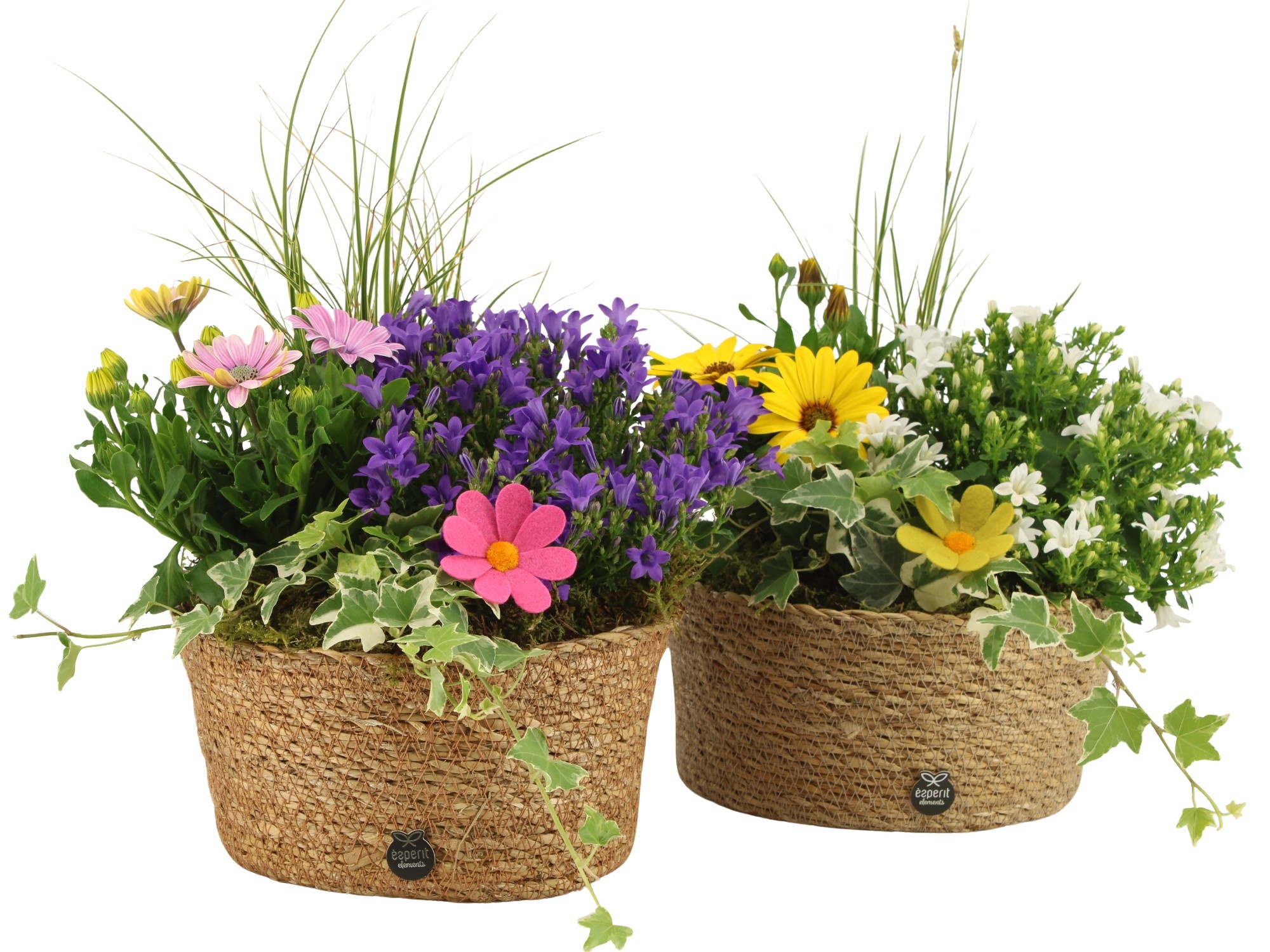 31705: Outdoor summer arrangement, D 22