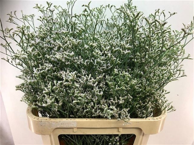 Лимониум Вайт Нето 80, шт.