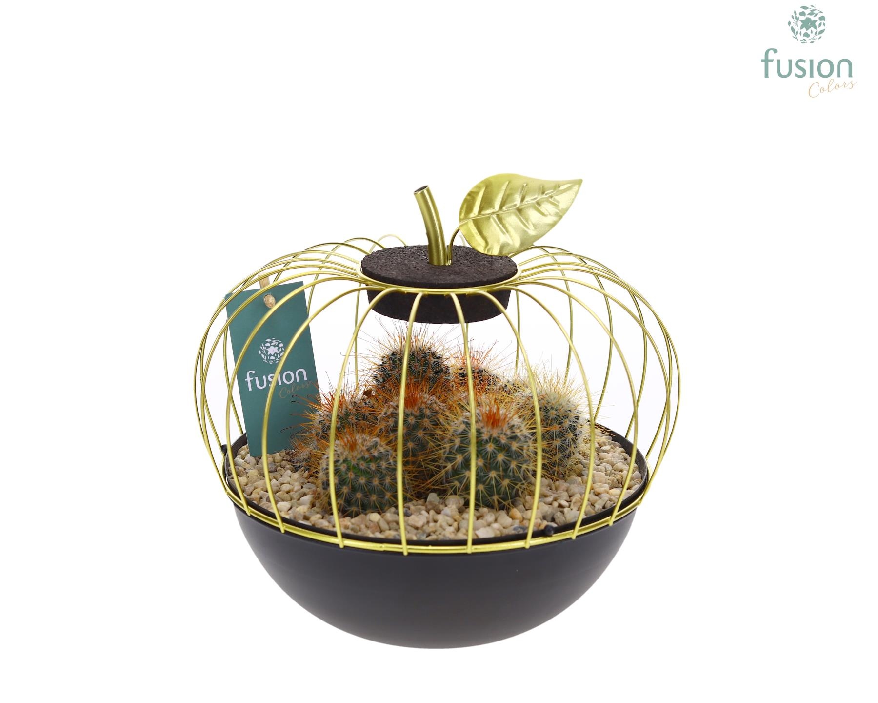 Metaal appel goudzwart Large met Cactussen, D 23