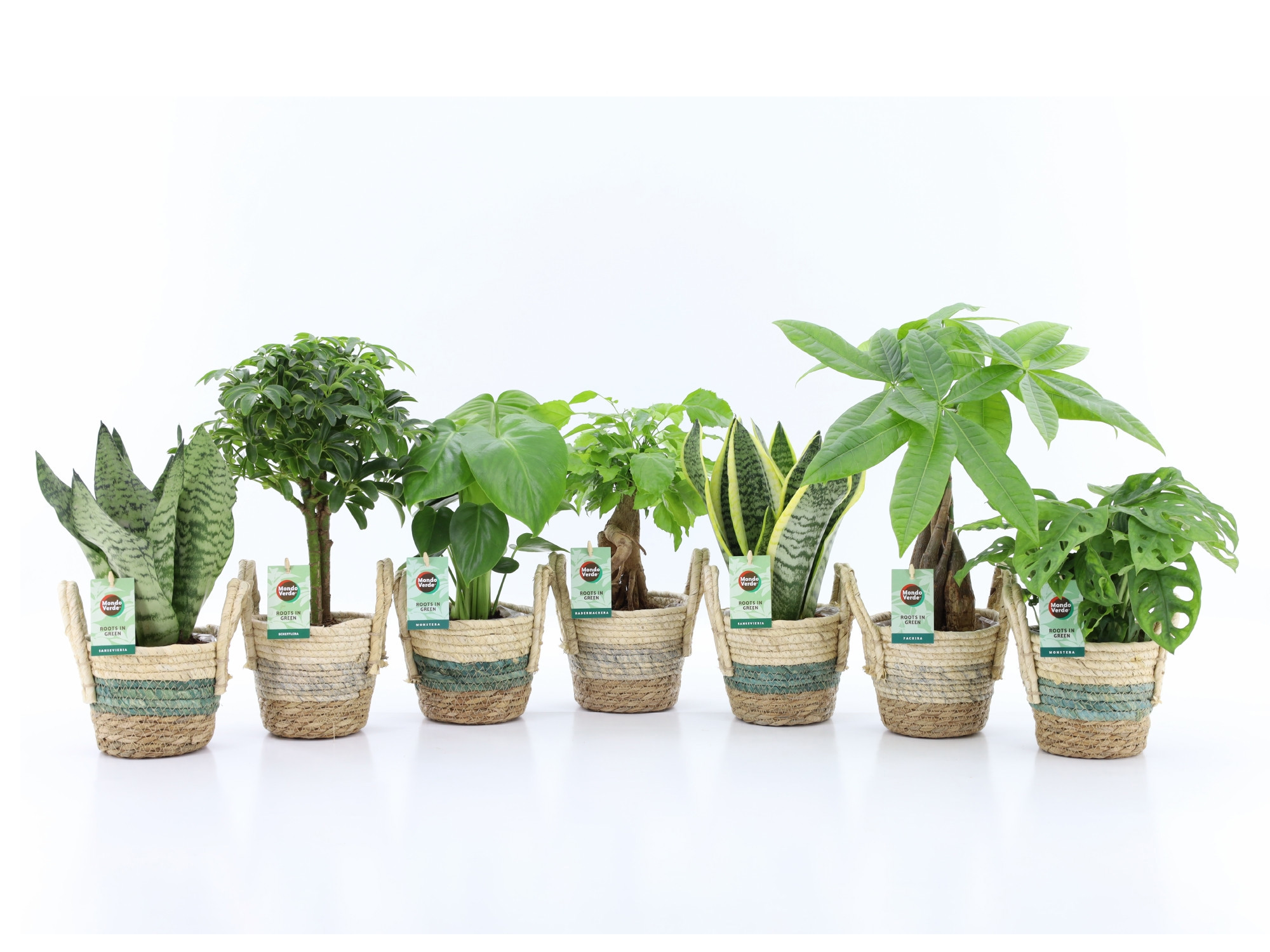 Easy to Care Mix in Noah Stripe, D 14